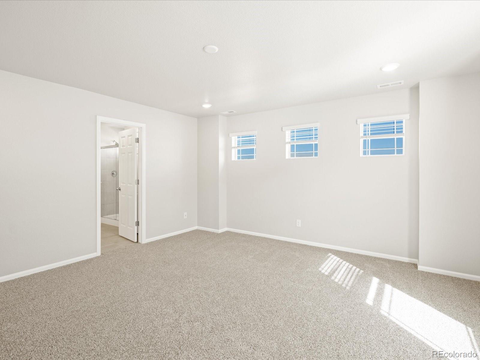 MLS Image #20 for 17517 e 89th way,commerce city, Colorado