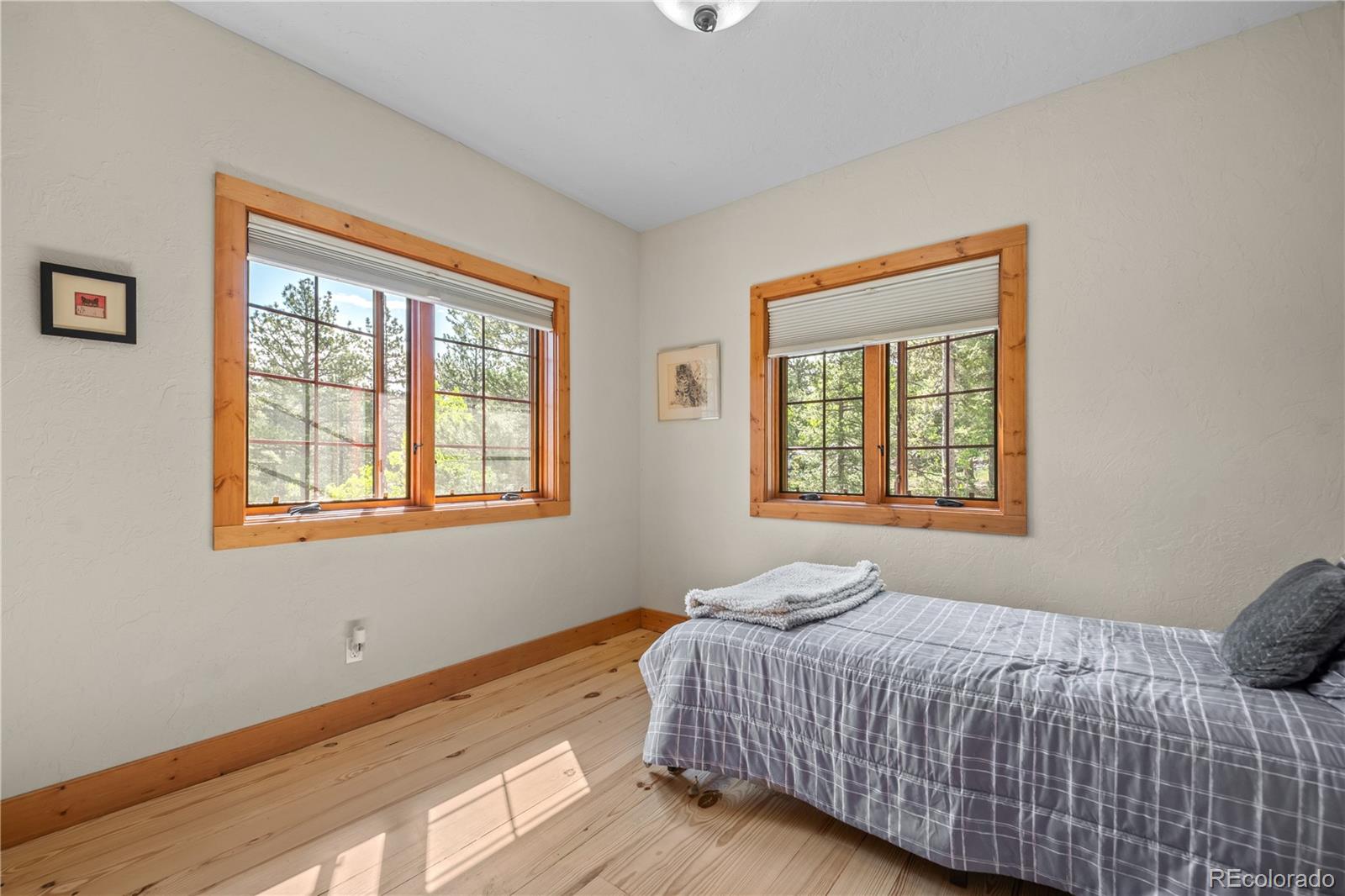 MLS Image #10 for 715  clark road,bailey, Colorado