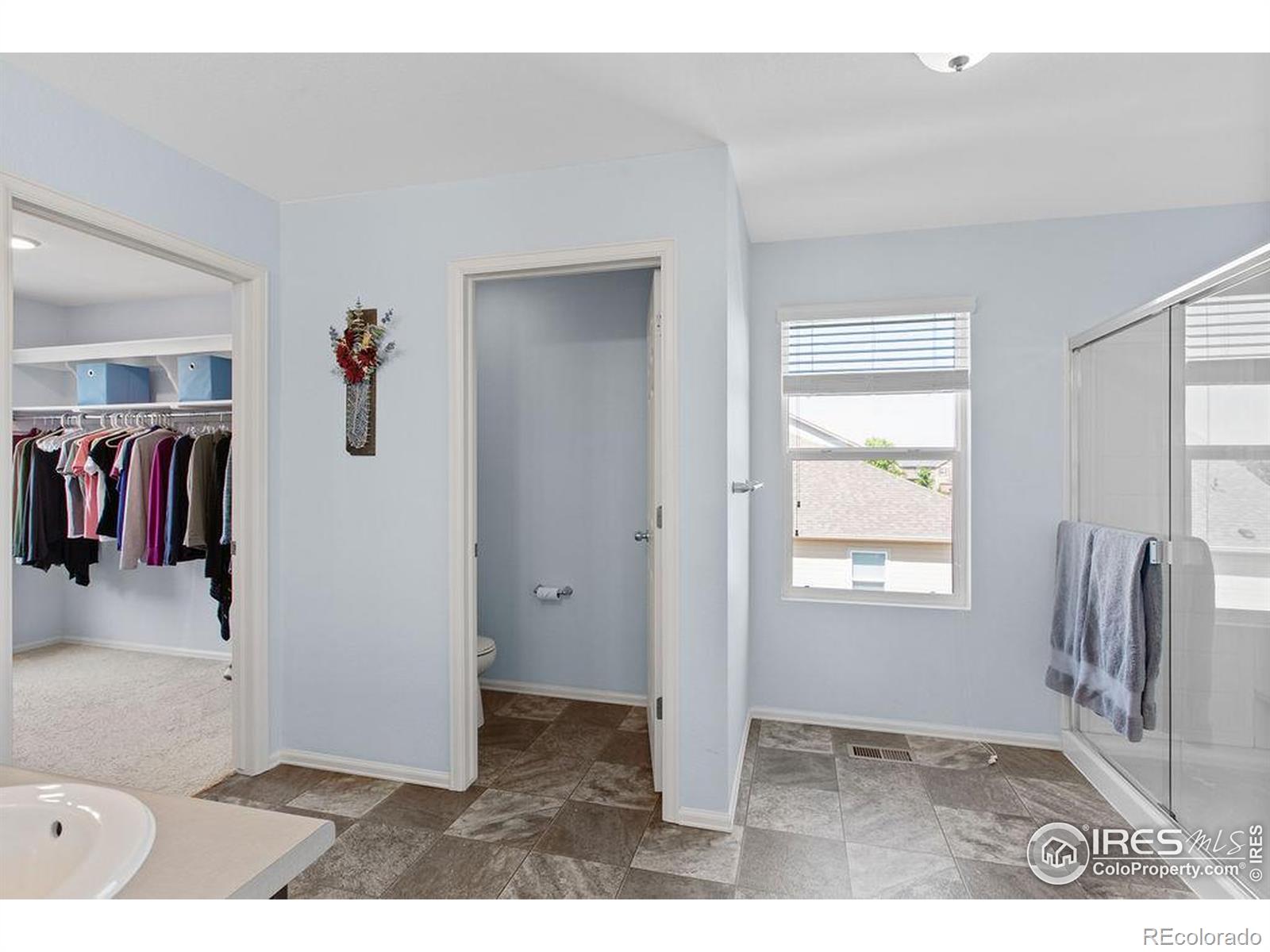 MLS Image #20 for 6792  covenant court,timnath, Colorado