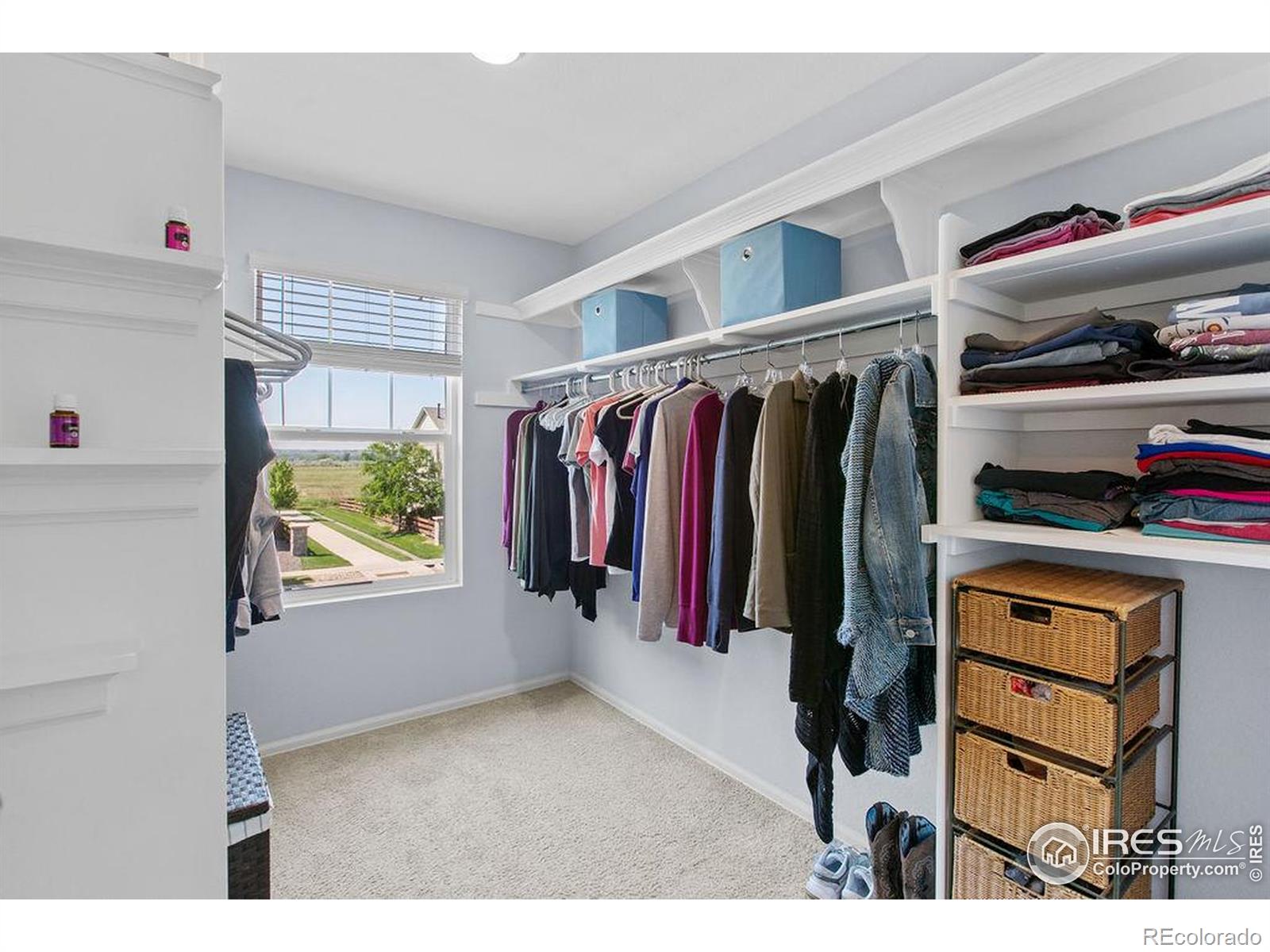 MLS Image #21 for 6792  covenant court,timnath, Colorado