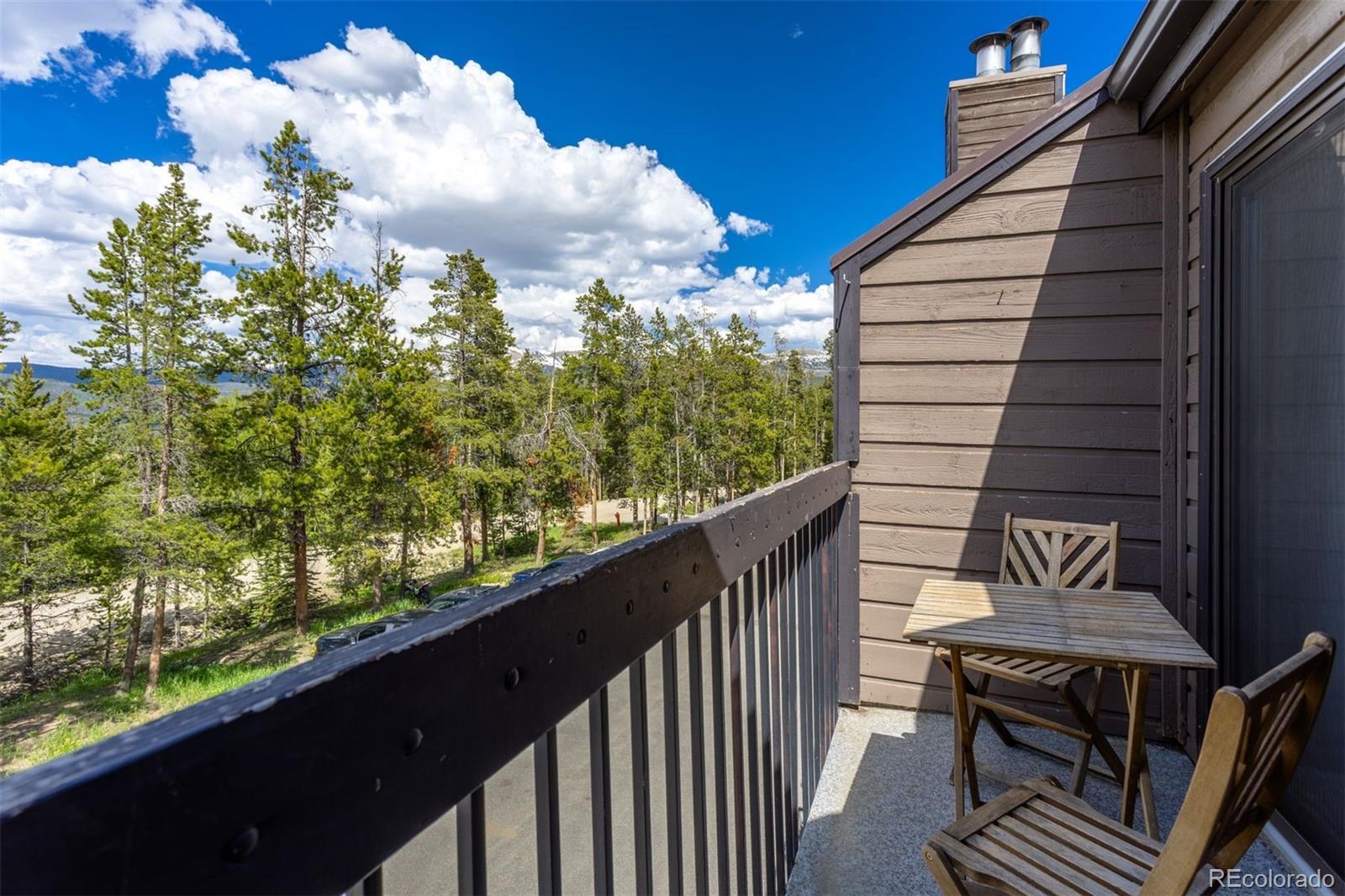 MLS Image #4 for 100  bryant boulevard,fraser, Colorado