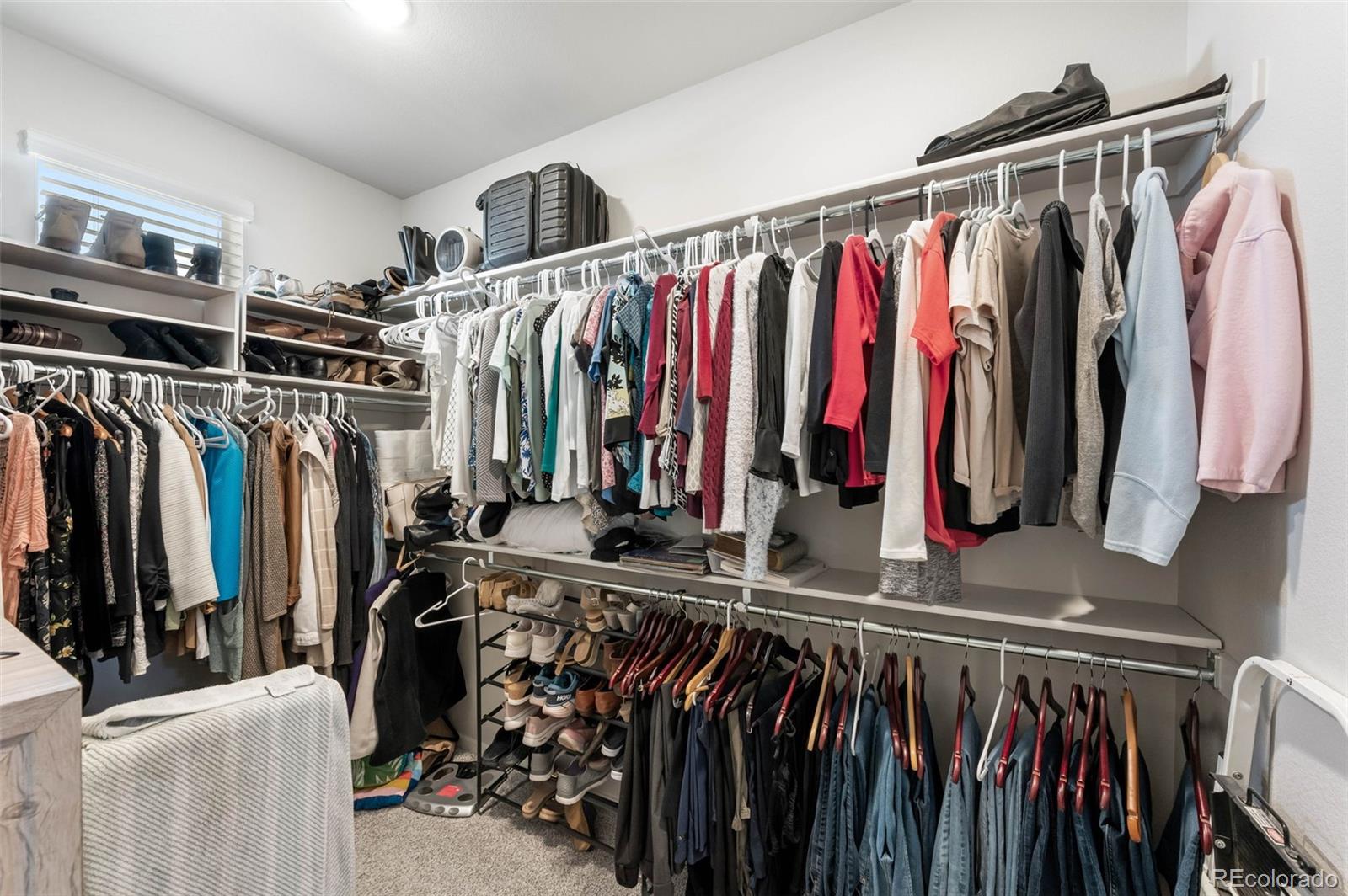 MLS Image #20 for 2078  autumn moon drive,windsor, Colorado