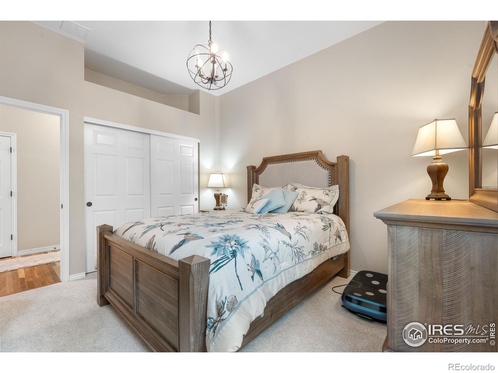 MLS Image #22 for 1976  cayman drive,windsor, Colorado