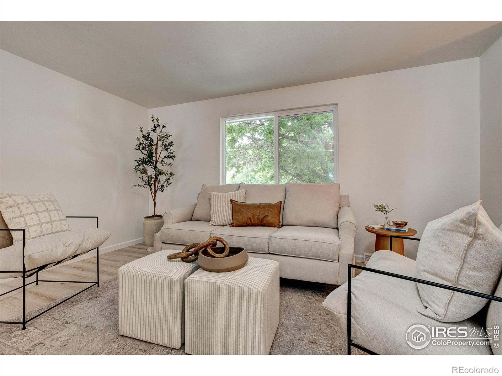 MLS Image #4 for 1206  dawn avenue,gilcrest, Colorado