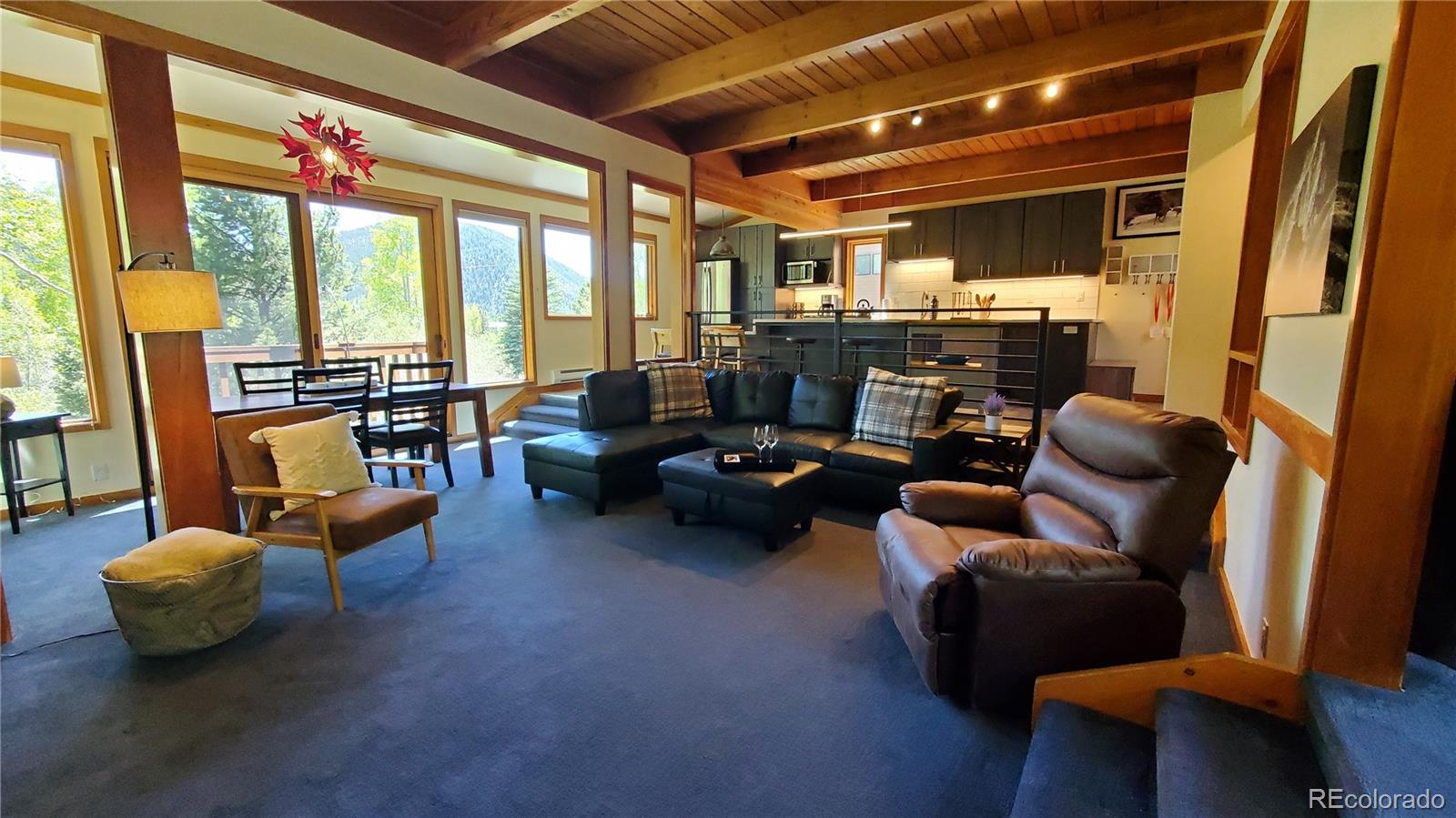 MLS Image #10 for 620  tennis club road,dillon, Colorado