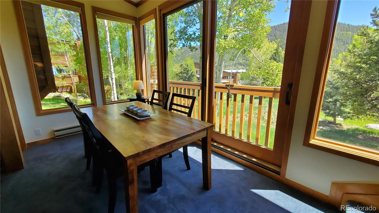 MLS Image #14 for 620  tennis club road,dillon, Colorado