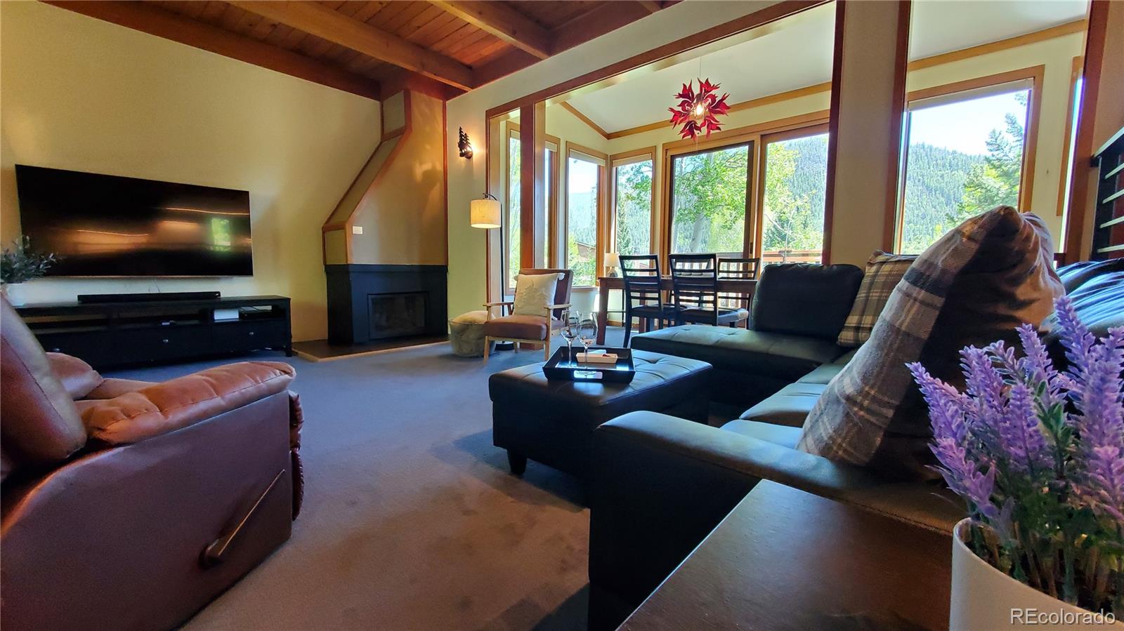 MLS Image #7 for 620  tennis club road,dillon, Colorado