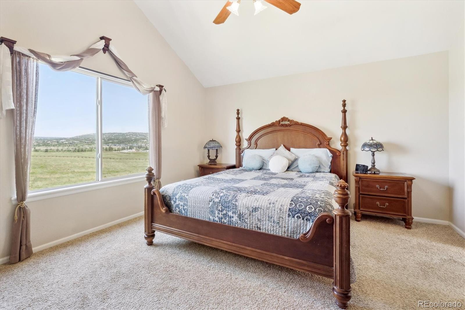 MLS Image #13 for 4099  starflower road,castle rock, Colorado