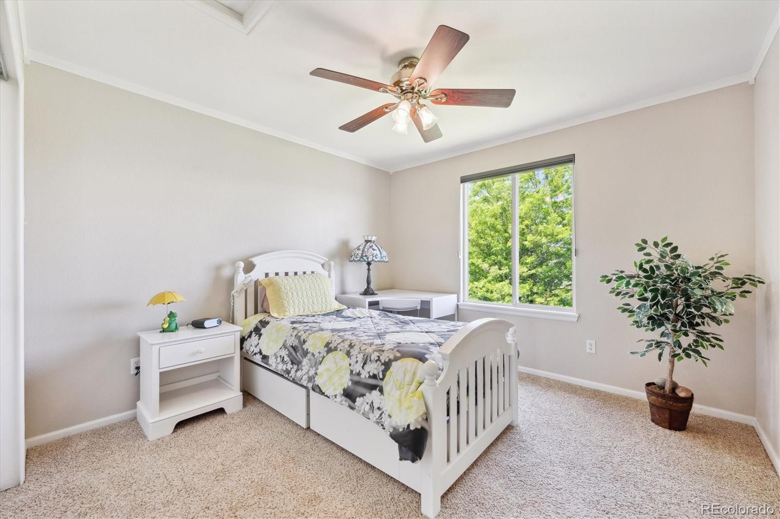MLS Image #18 for 4099  starflower road,castle rock, Colorado