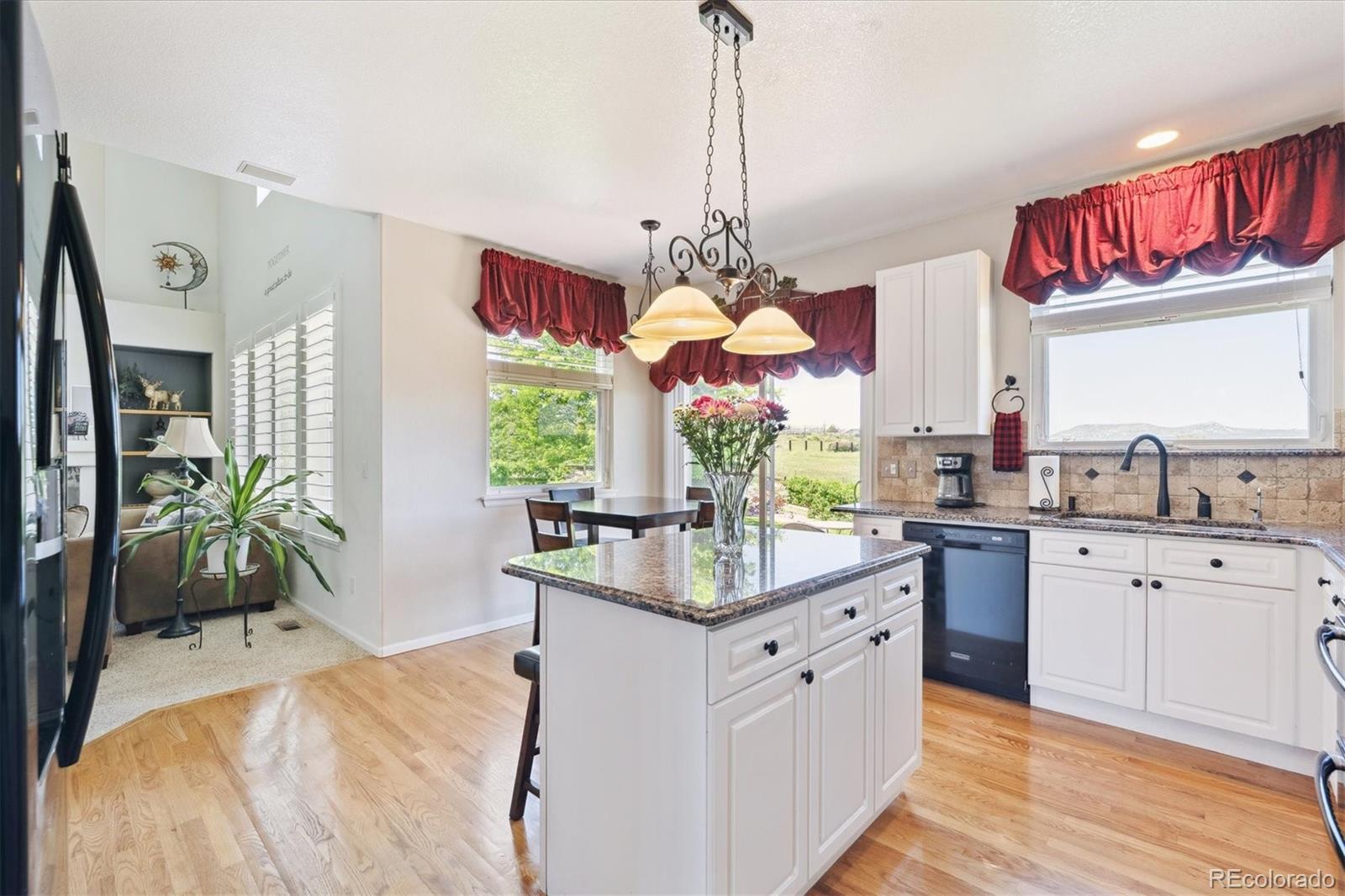 MLS Image #6 for 4099  starflower road,castle rock, Colorado