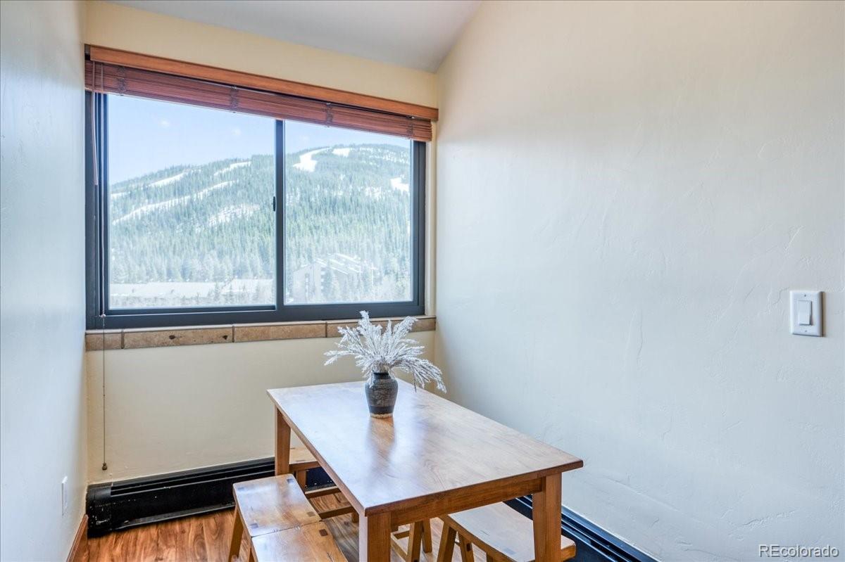 MLS Image #27 for 189  ten mile circle,copper mountain, Colorado