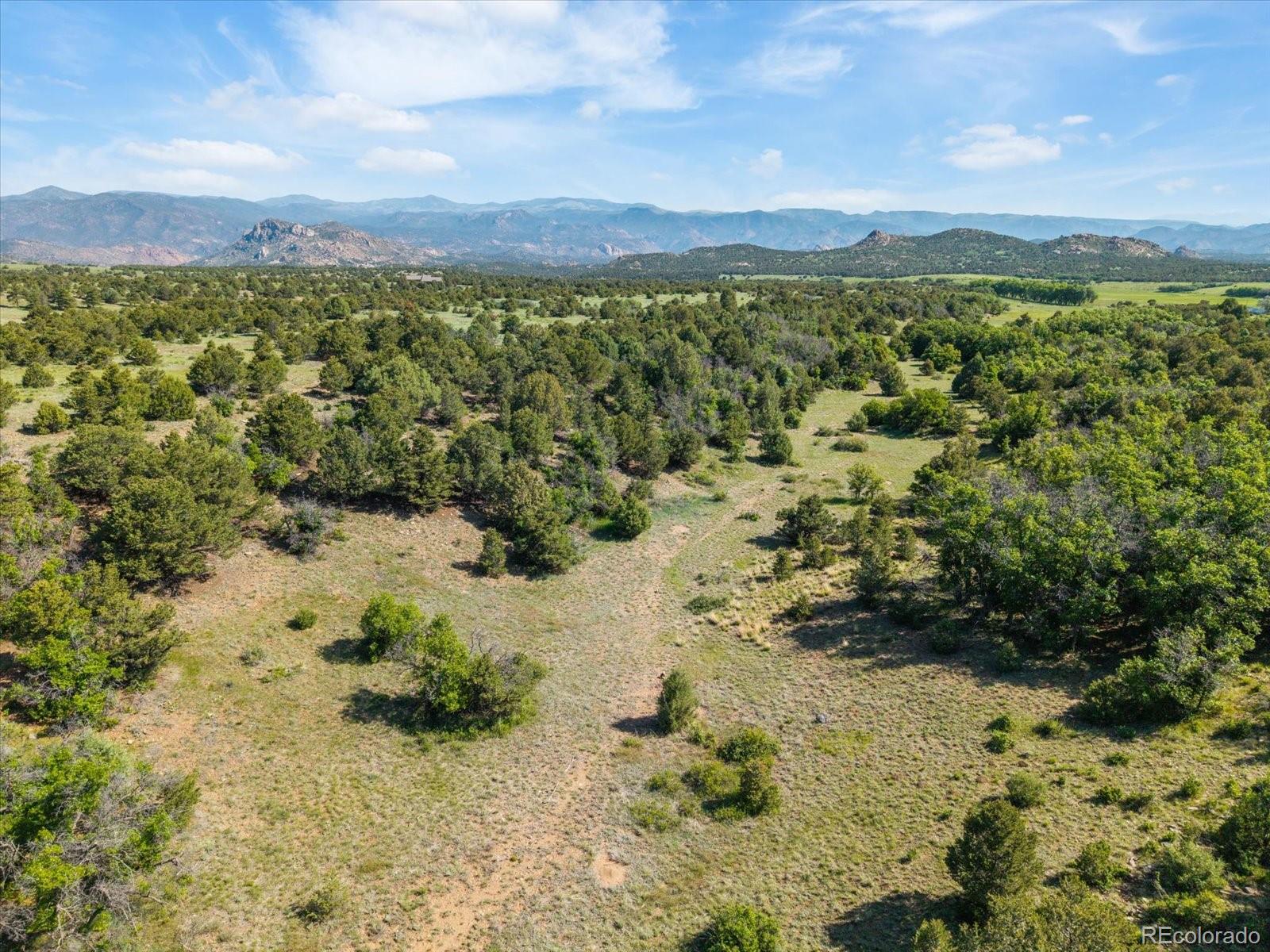 MLS Image #11 for 10 n price park,cotopaxi, Colorado