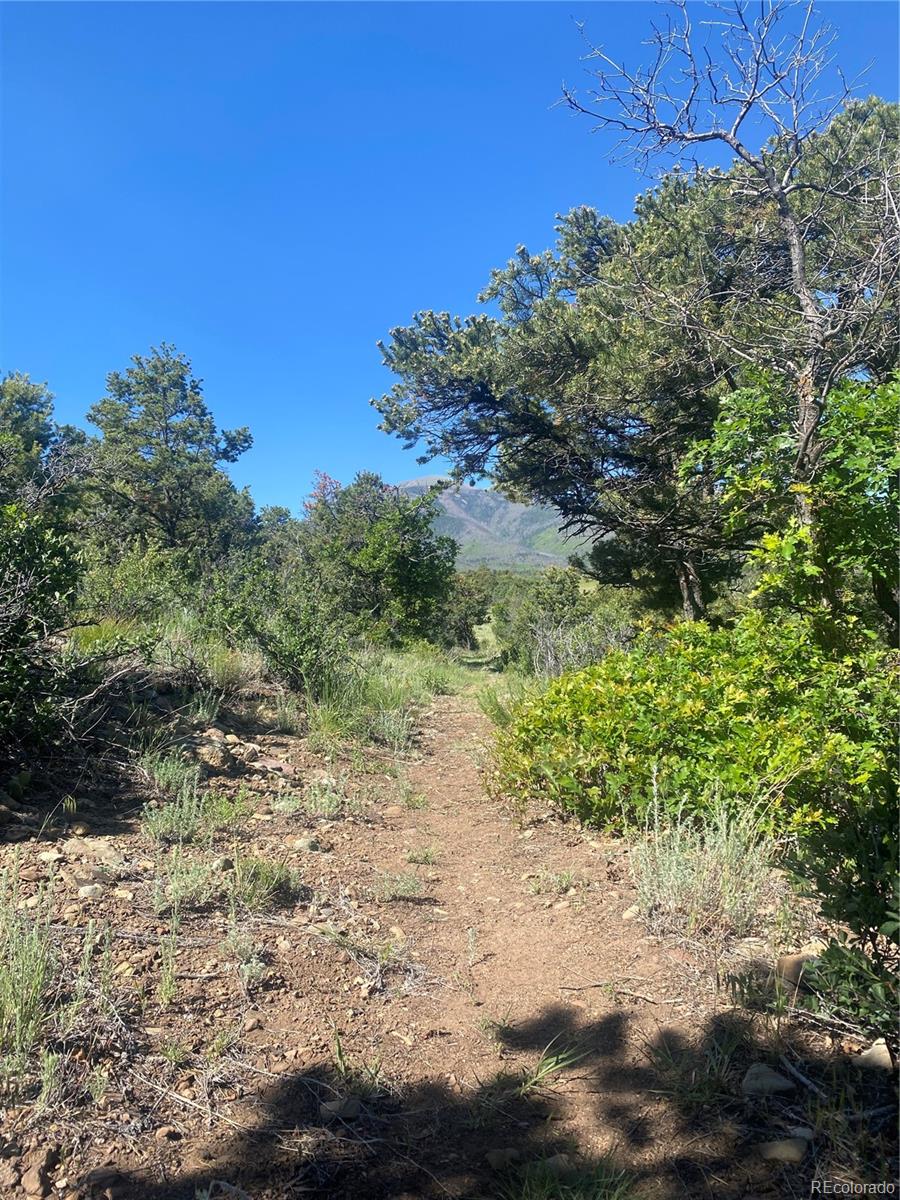 MLS Image #13 for 10 n price park,cotopaxi, Colorado