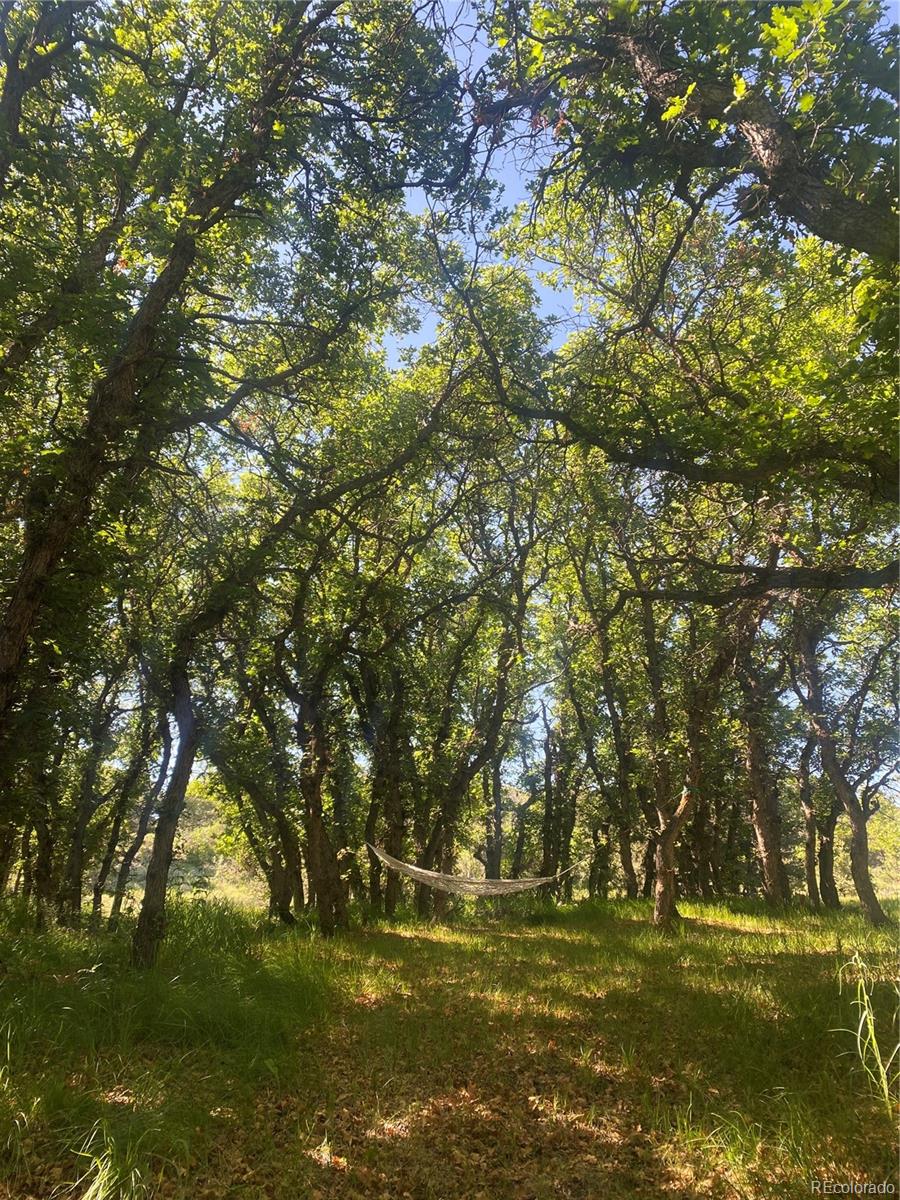 MLS Image #14 for 10 n price park,cotopaxi, Colorado