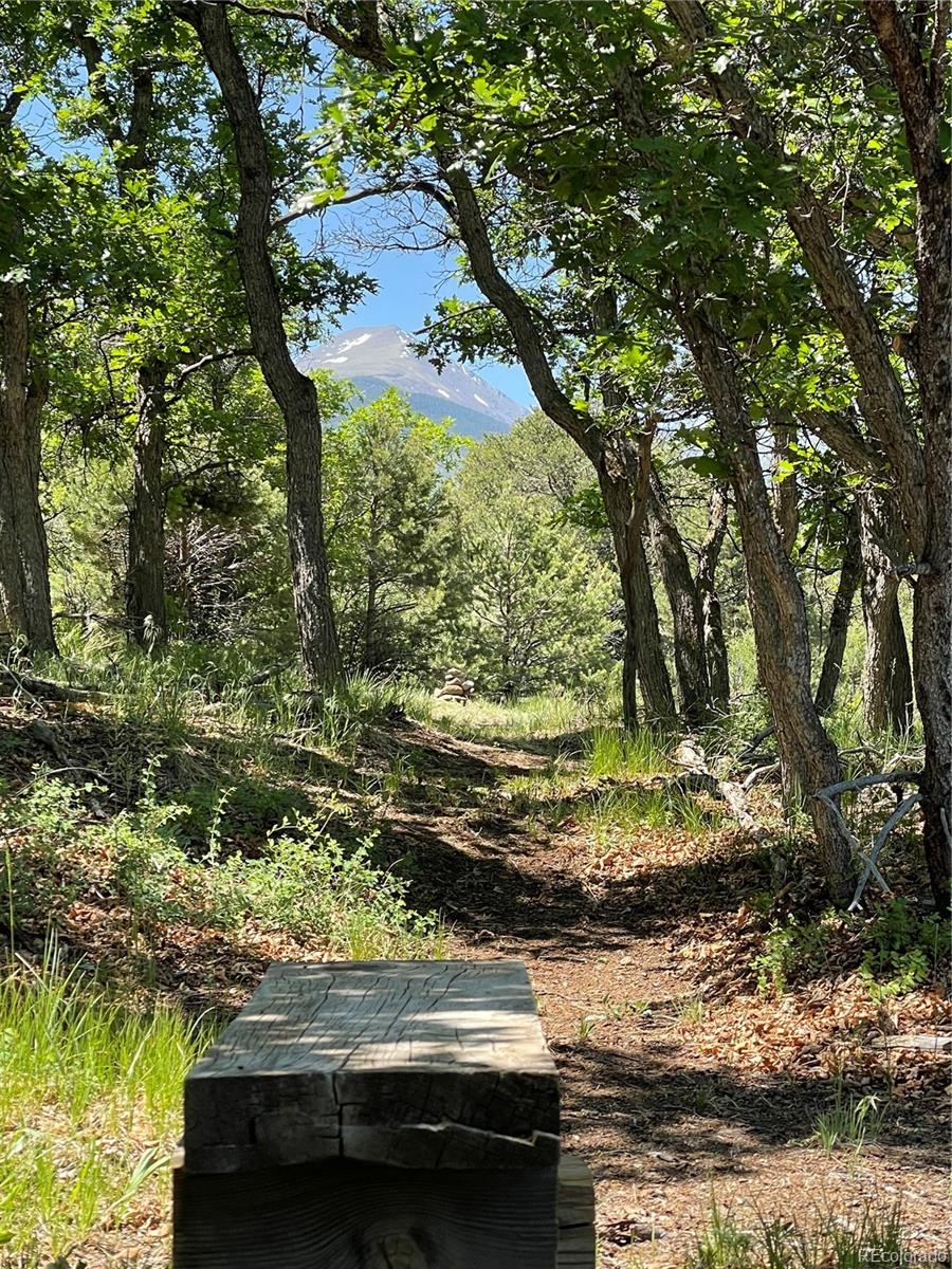 MLS Image #15 for 10 n price park,cotopaxi, Colorado