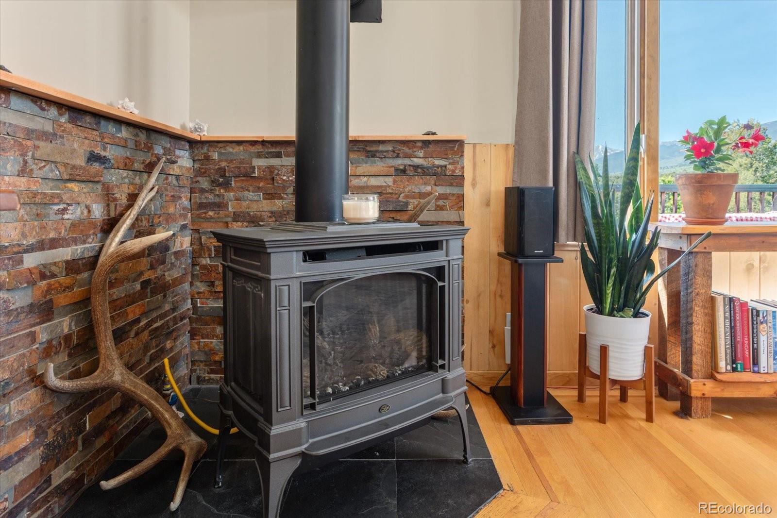 MLS Image #24 for 10 n price park,cotopaxi, Colorado