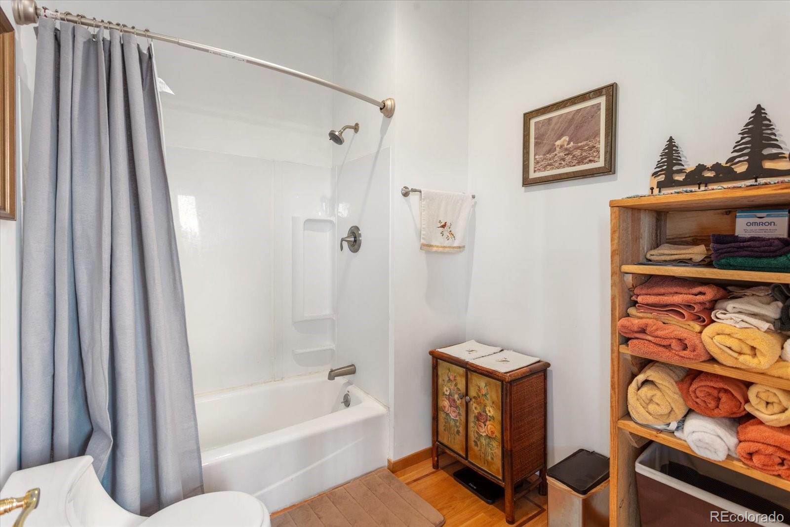MLS Image #35 for 10 n price park,cotopaxi, Colorado