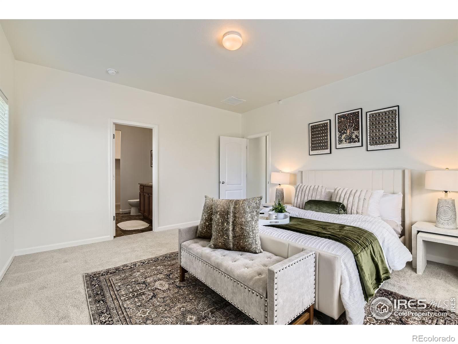 MLS Image #12 for 588  sandi lane,dacono, Colorado