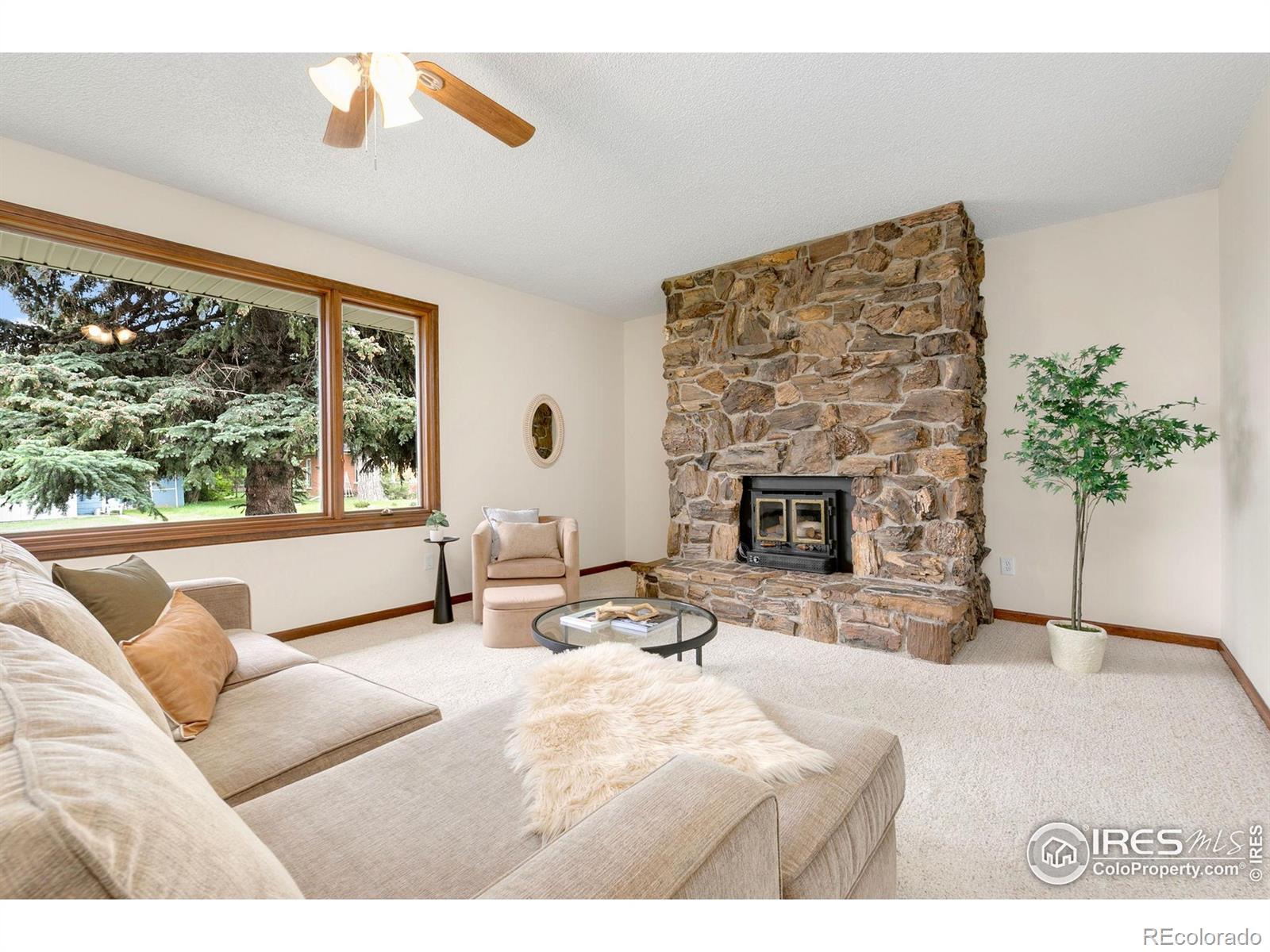 MLS Image #3 for 609  endicott street,fort collins, Colorado