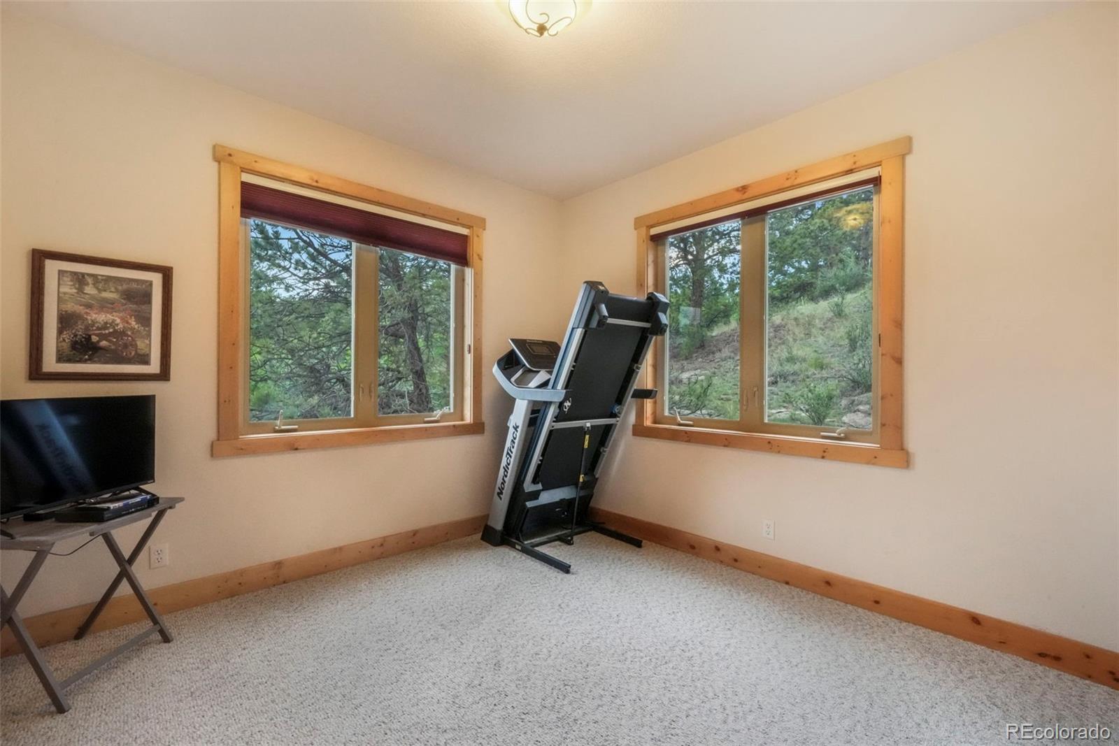 MLS Image #27 for 71  crestone circle,florissant, Colorado