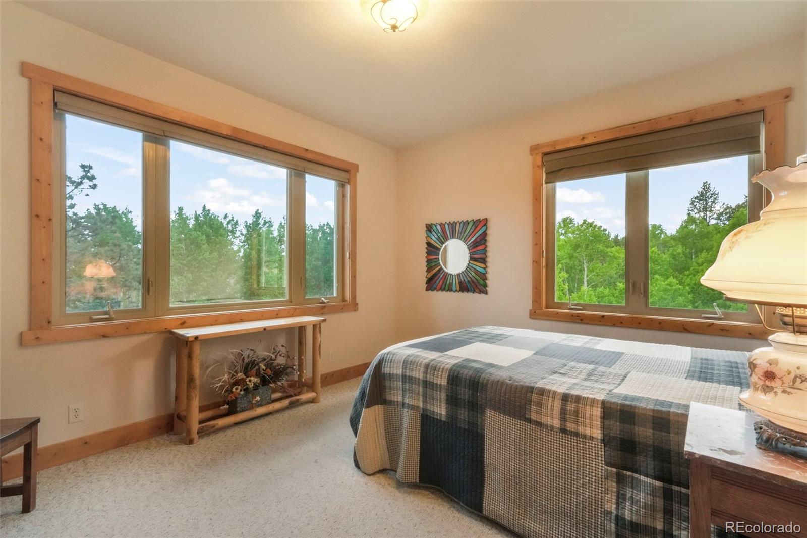 MLS Image #28 for 71  crestone circle,florissant, Colorado