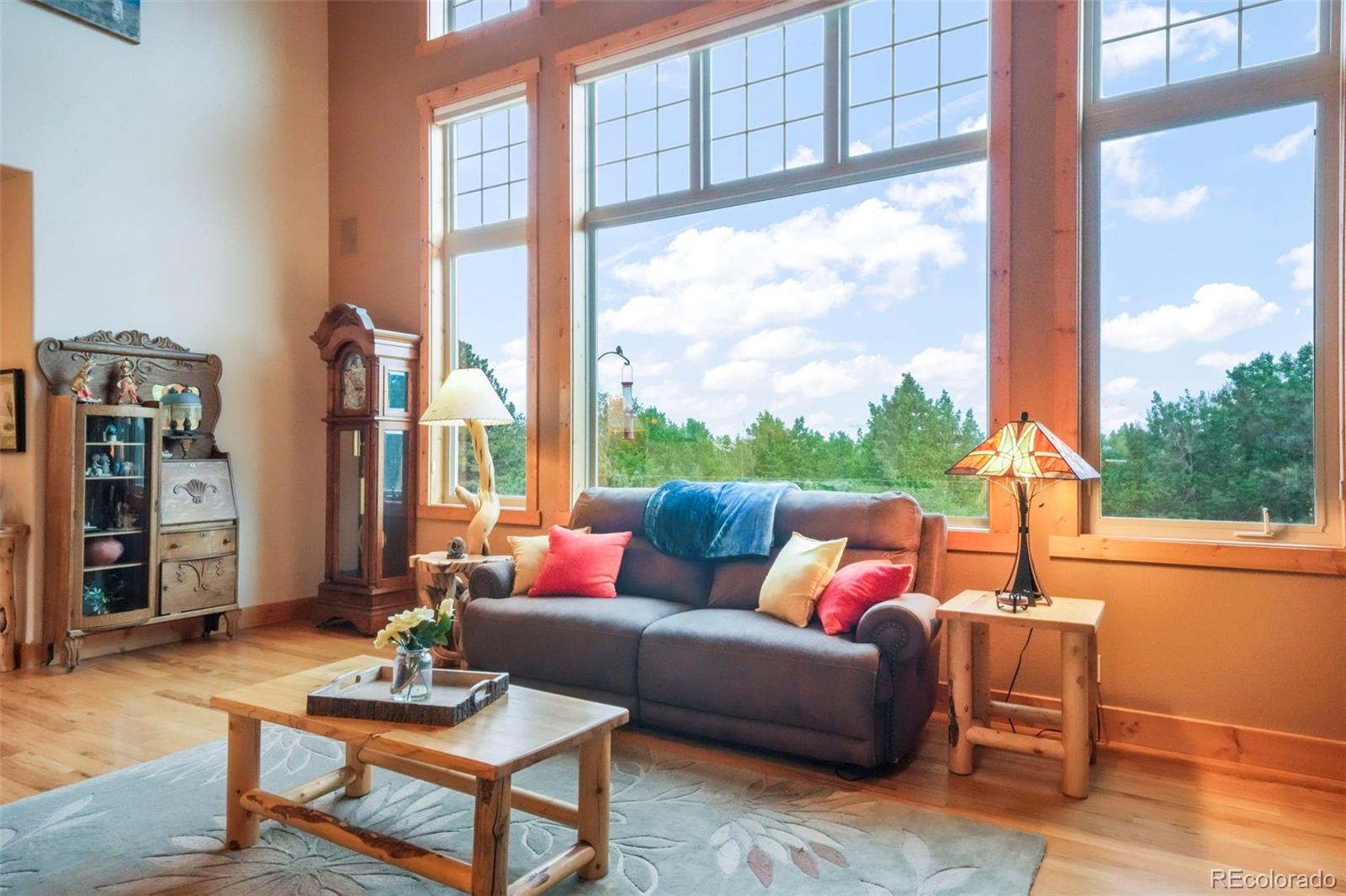 MLS Image #6 for 71  crestone circle,florissant, Colorado