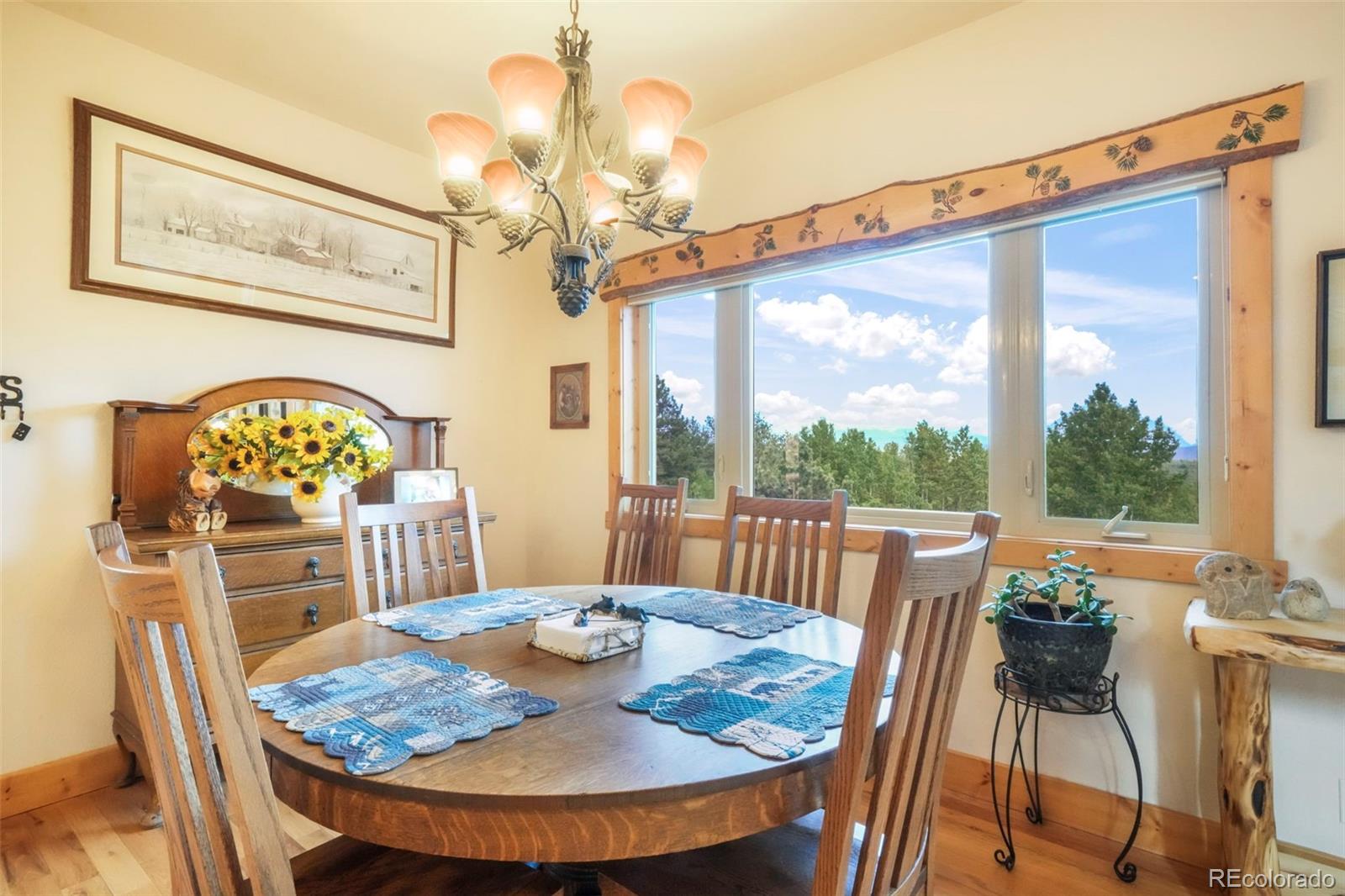 MLS Image #9 for 71  crestone circle,florissant, Colorado