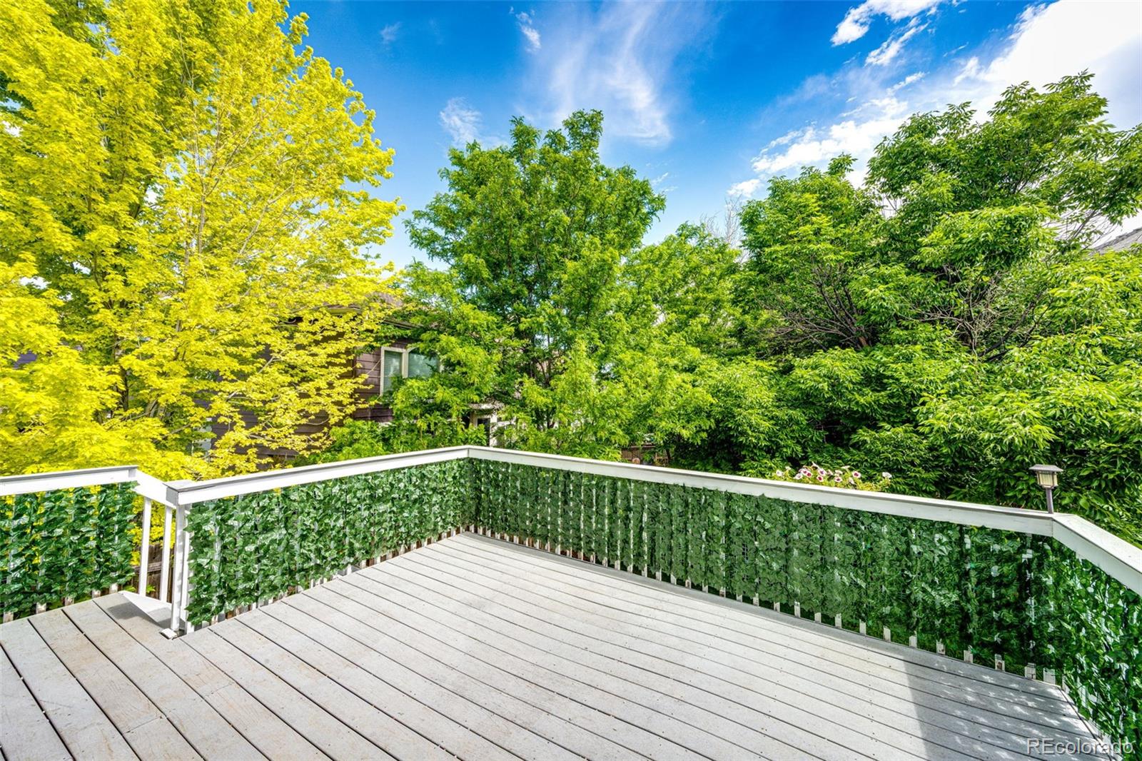 MLS Image #14 for 10890  willow reed west circle,parker, Colorado