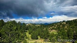MLS Image #46 for 333  della fox lane,westcliffe, Colorado