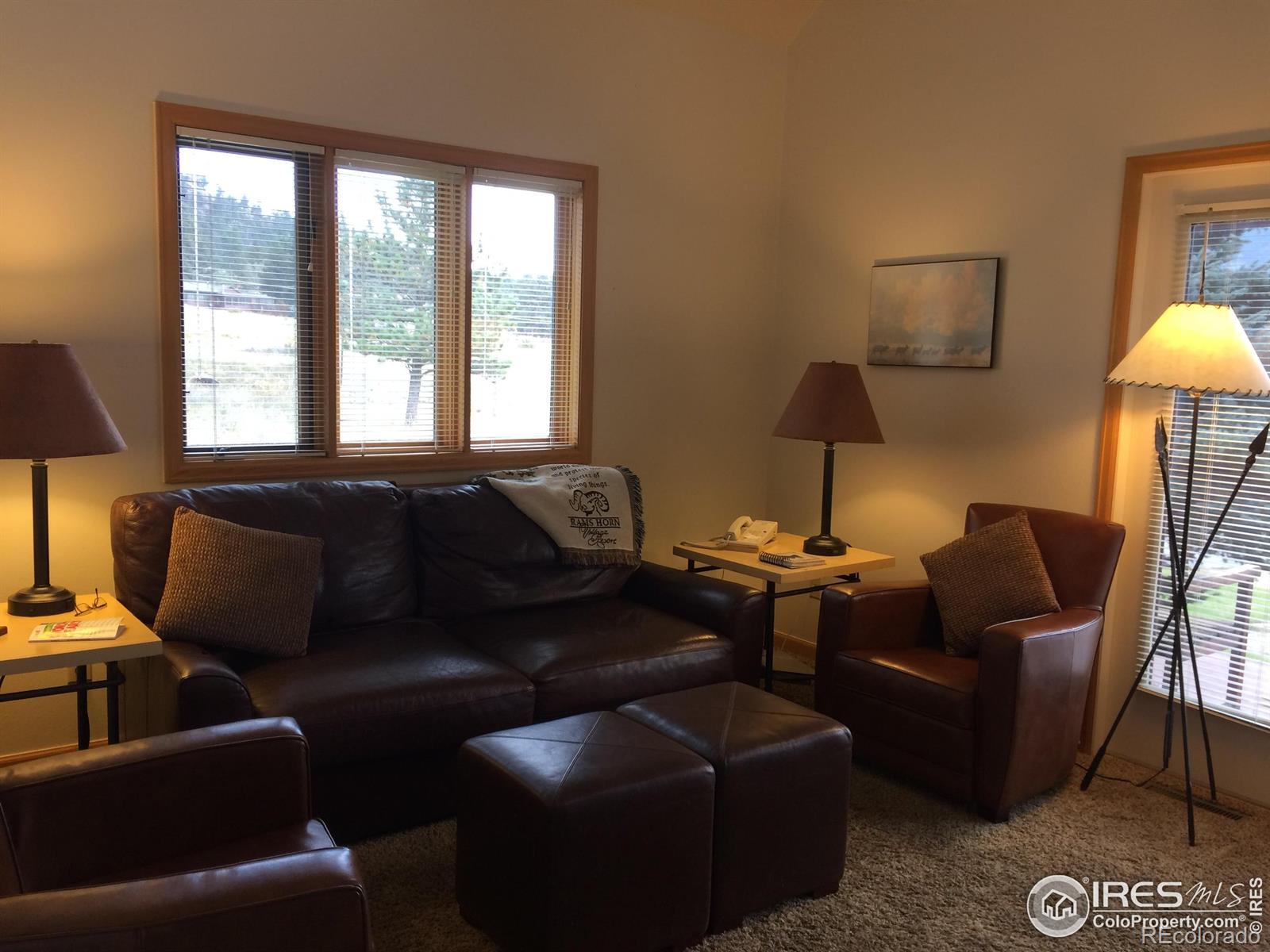 MLS Image #14 for 1565  highway 66 ,estes park, Colorado