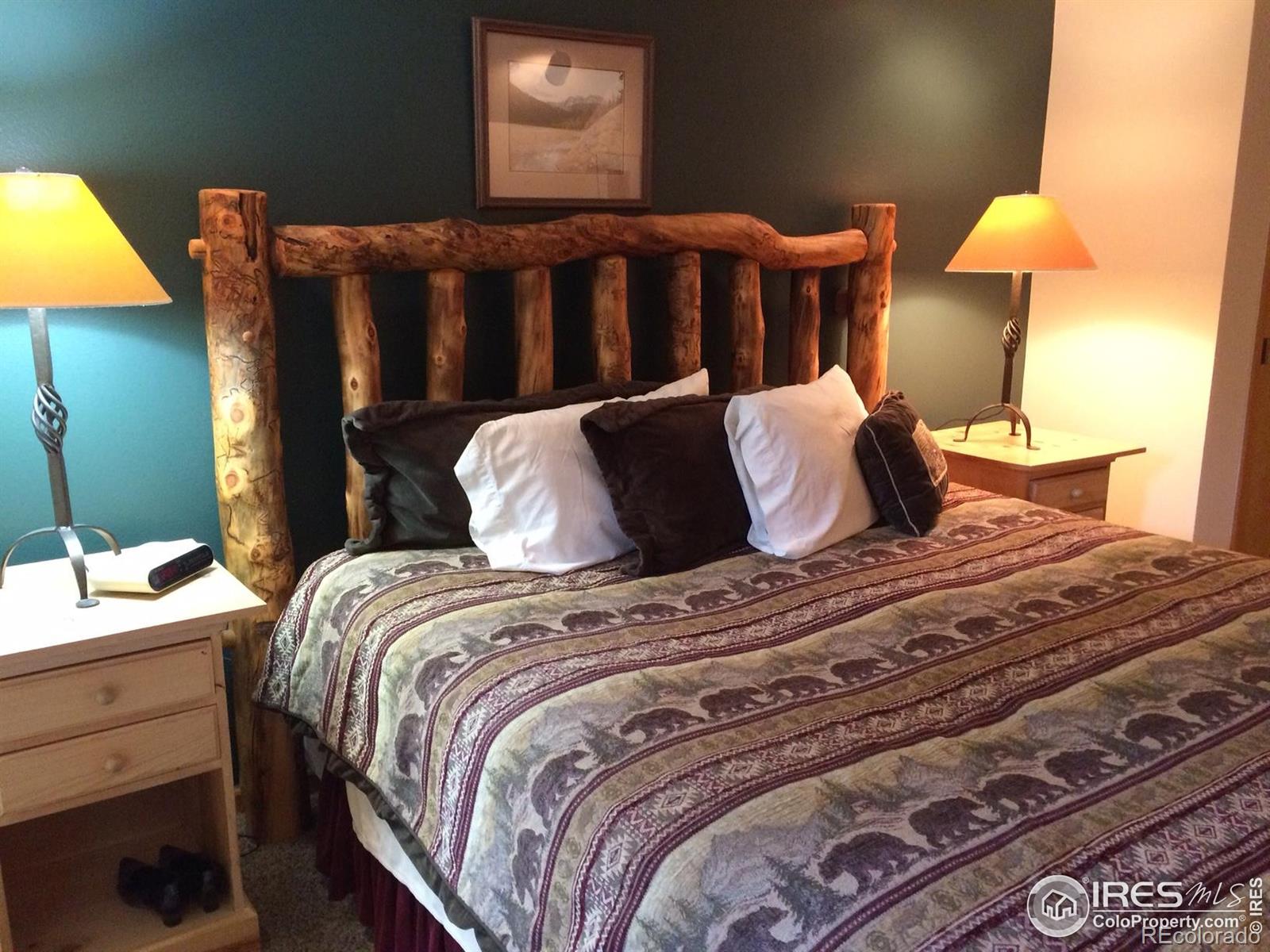 MLS Image #19 for 1565  highway 66 ,estes park, Colorado