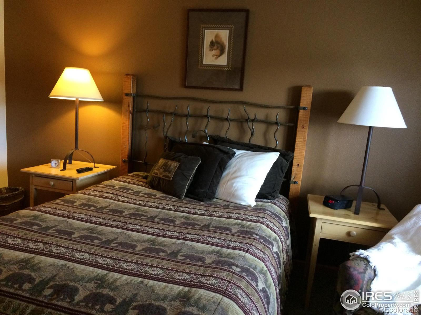 MLS Image #6 for 1565  highway 66 ,estes park, Colorado
