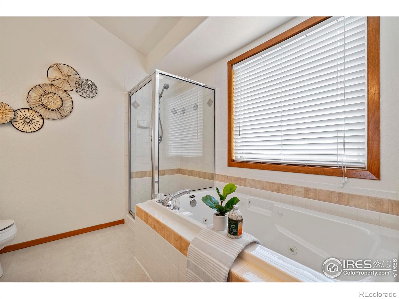 MLS Image #16 for 2476  forsythia drive,loveland, Colorado
