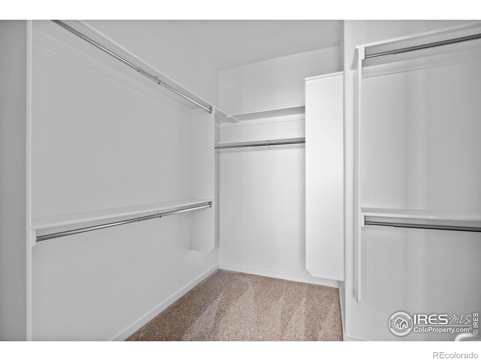 MLS Image #19 for 4246  martinson drive,loveland, Colorado