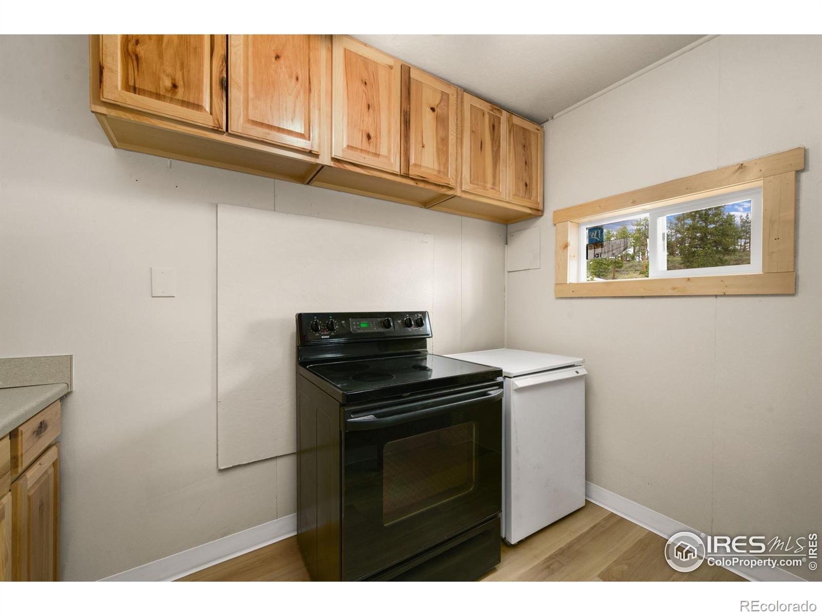 MLS Image #8 for 860  county road 67j ,red feather lakes, Colorado