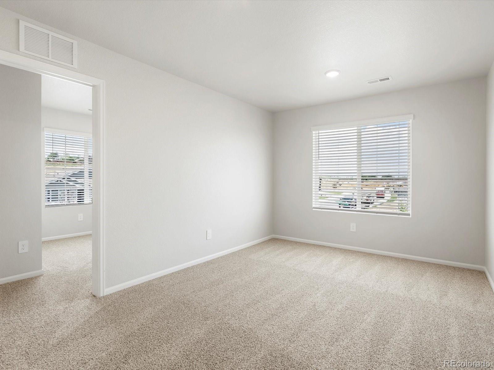 MLS Image #19 for 1629  rumley creek drive,windsor, Colorado