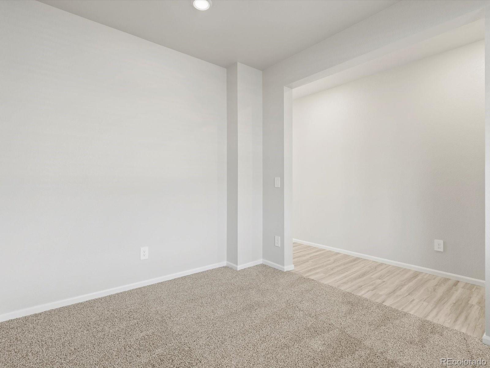 MLS Image #5 for 1629  rumley creek drive,windsor, Colorado