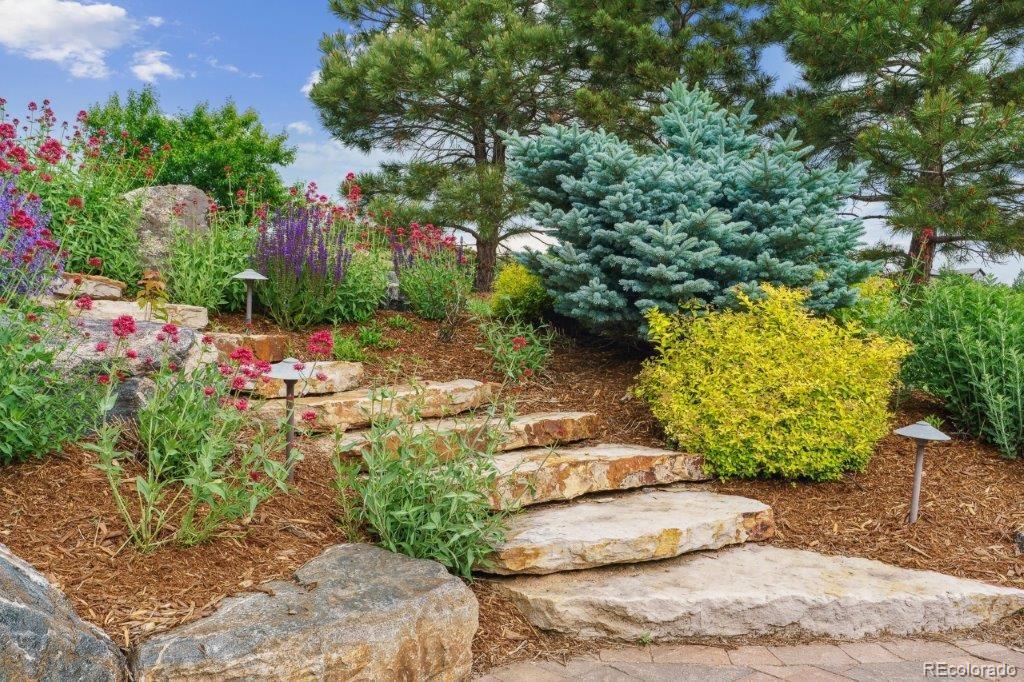 MLS Image #13 for 4651  sonado place,parker, Colorado