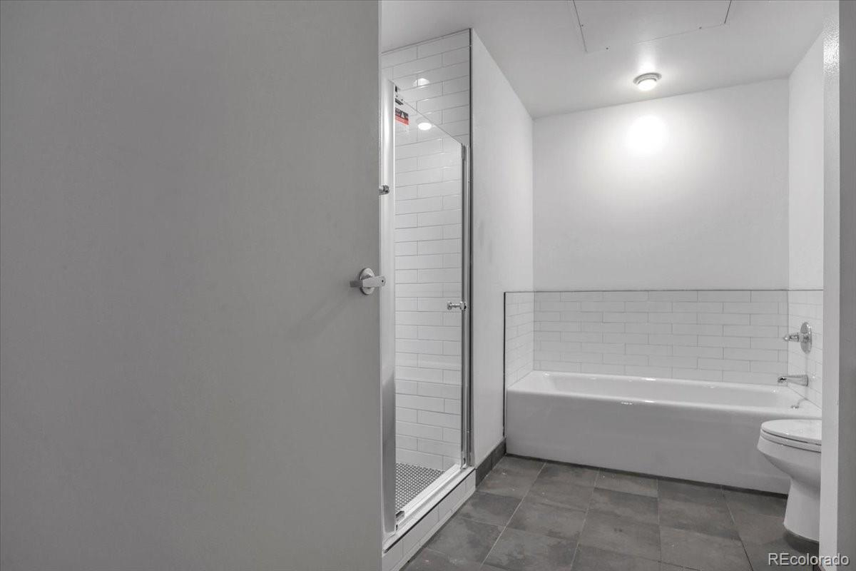 MLS Image #8 for 1438  little raven street,denver, Colorado