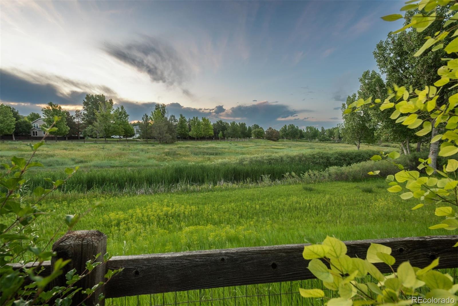 CMA Image for 16667  Tin Cup Court,Parker, Colorado
