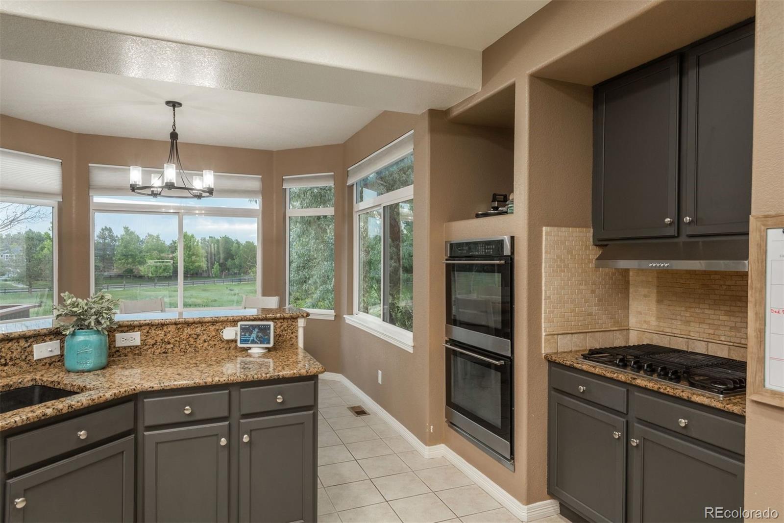 MLS Image #12 for 16667  tin cup court,parker, Colorado