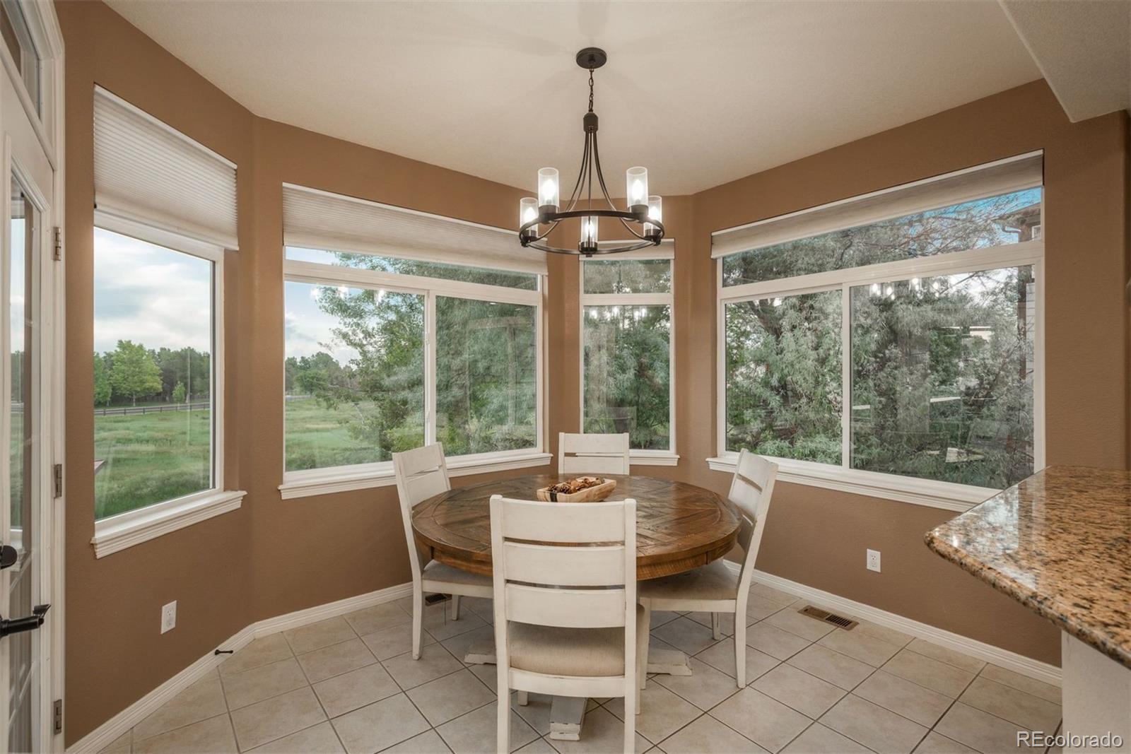 MLS Image #13 for 16667  tin cup court,parker, Colorado