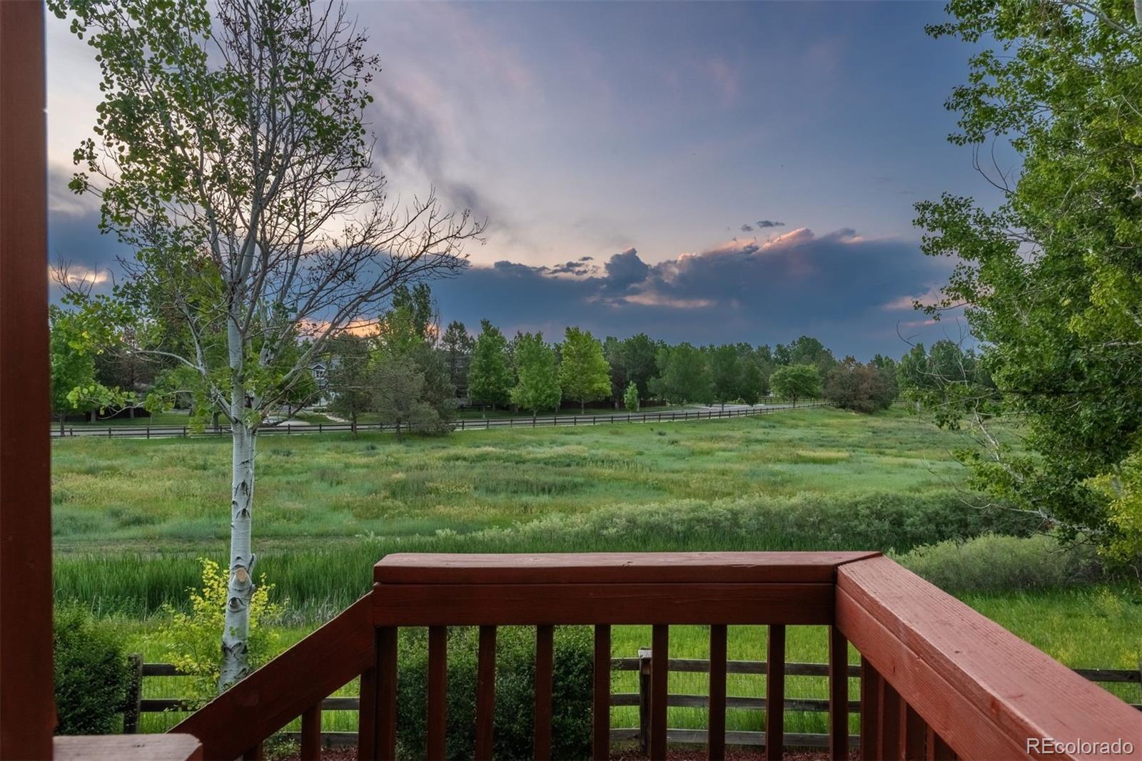 MLS Image #18 for 16667  tin cup court,parker, Colorado