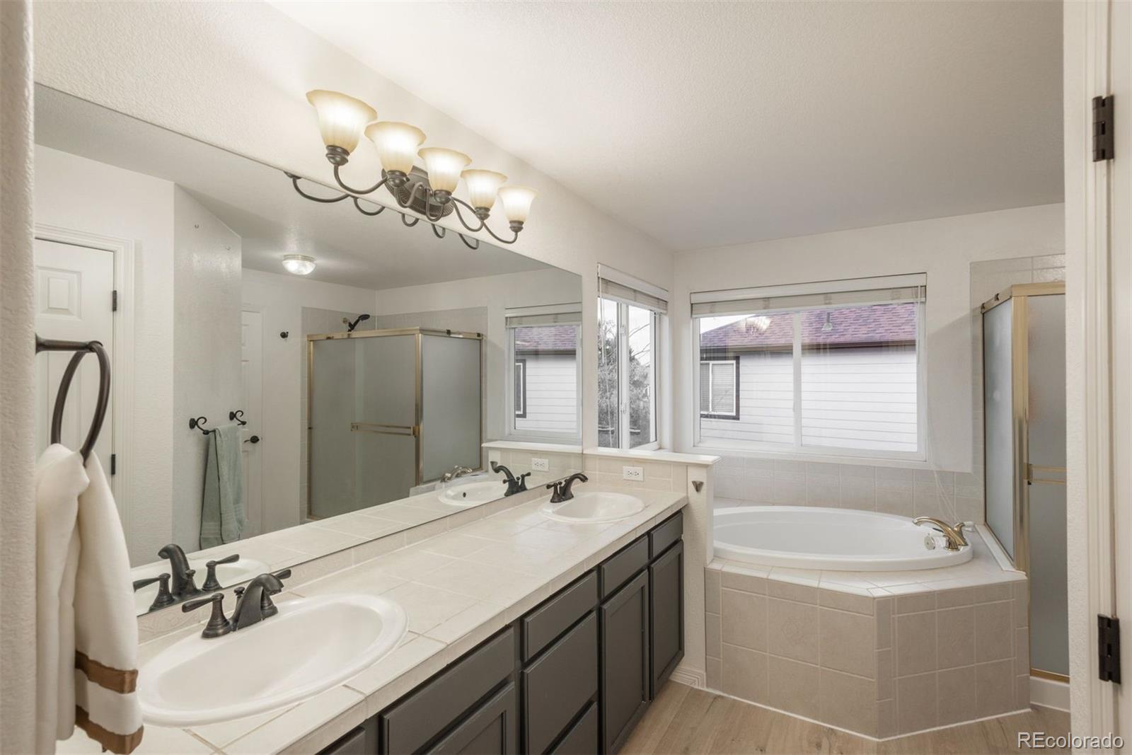 MLS Image #28 for 16667  tin cup court,parker, Colorado