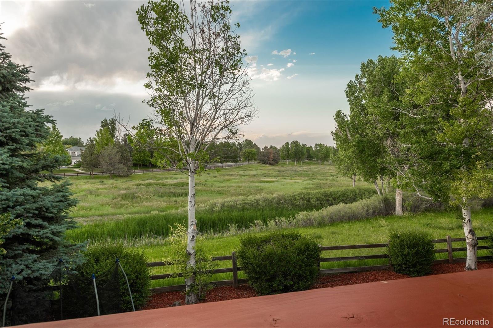MLS Image #37 for 16667  tin cup court,parker, Colorado