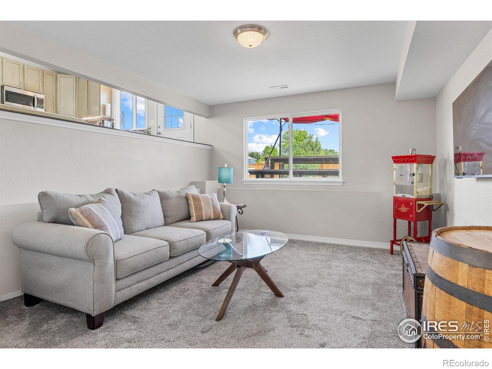 MLS Image #20 for 629  sumac street,frederick, Colorado