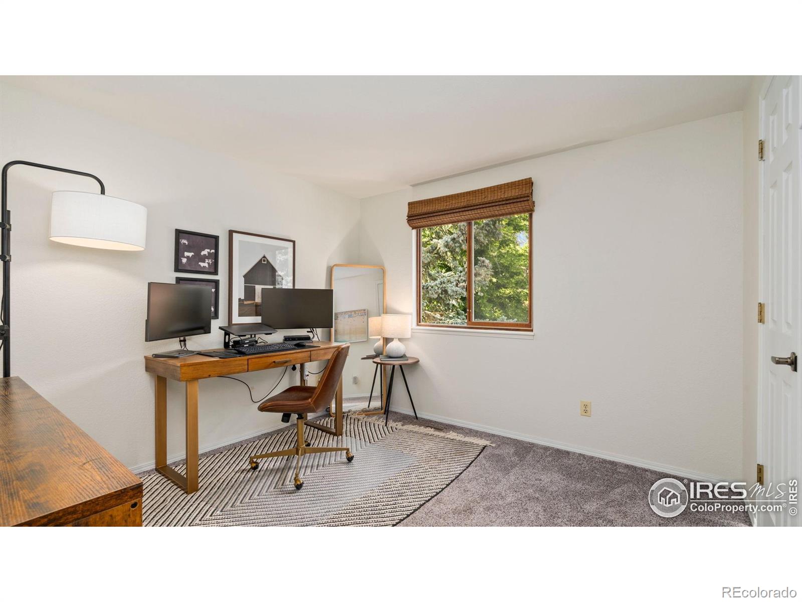 MLS Image #9 for 1922  enfield court,fort collins, Colorado