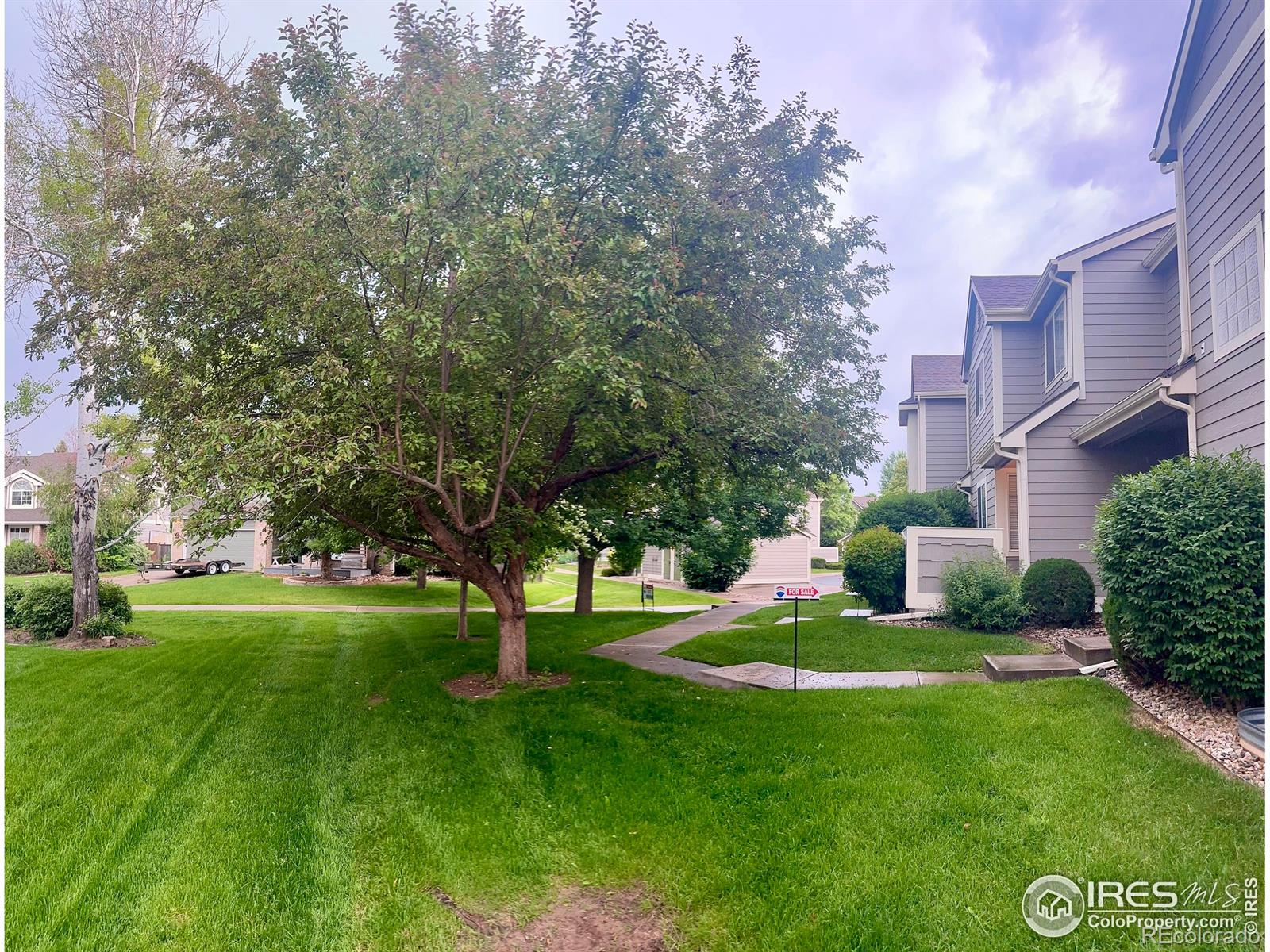 MLS Image #24 for 2120  timber creek drive,fort collins, Colorado