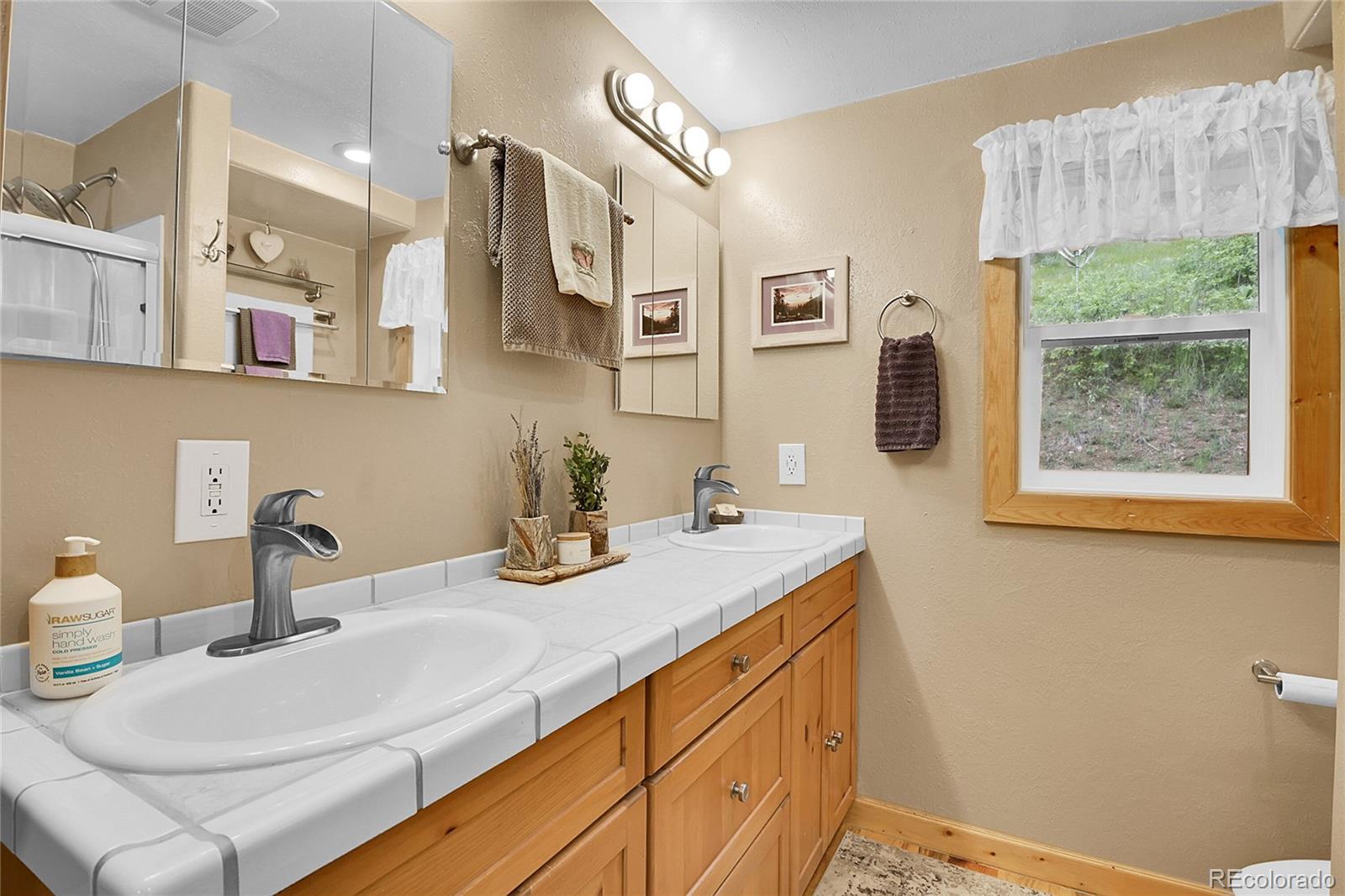 MLS Image #20 for 11182 s barney gulch road,conifer, Colorado