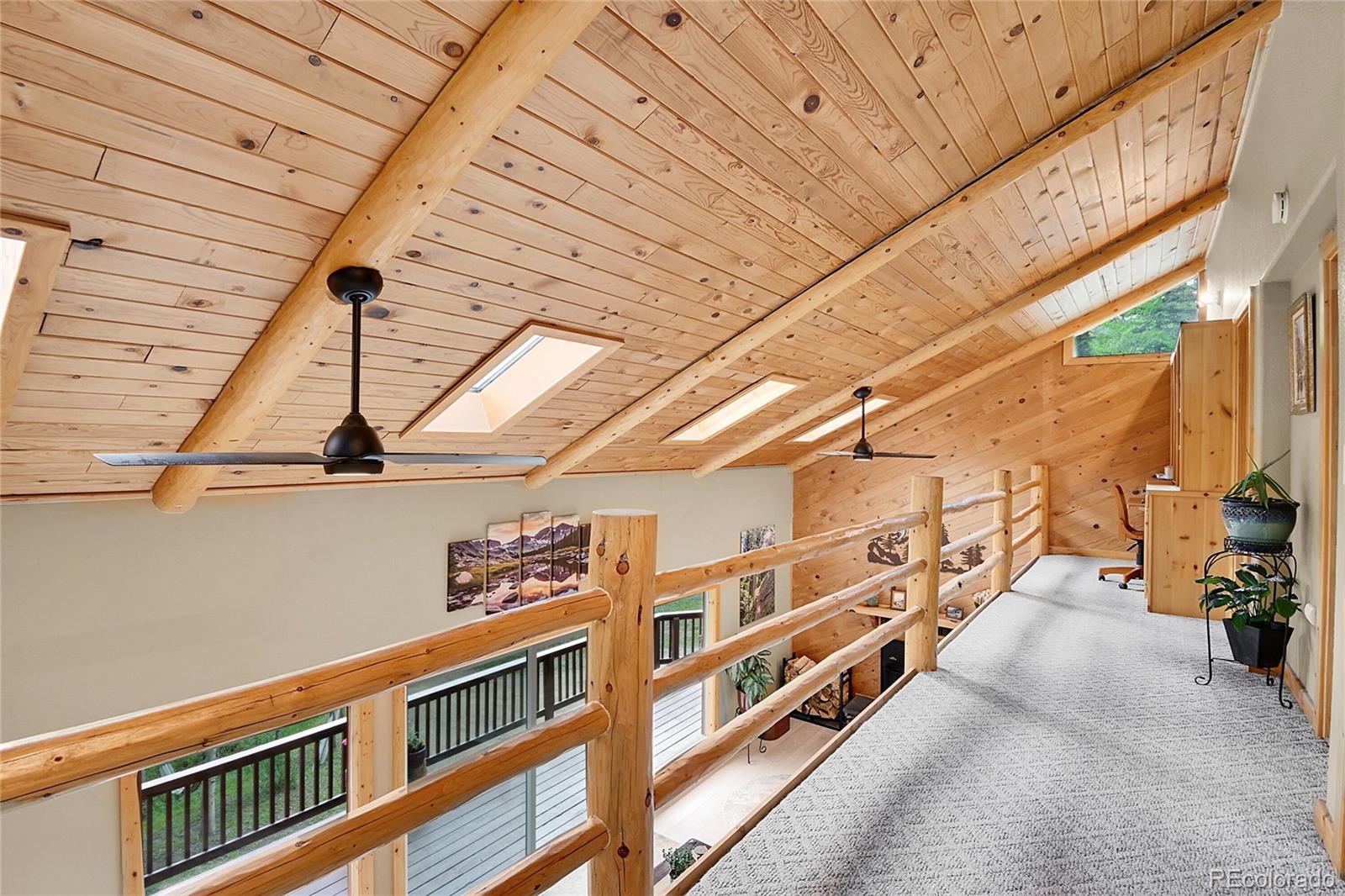 MLS Image #21 for 11182 s barney gulch road,conifer, Colorado